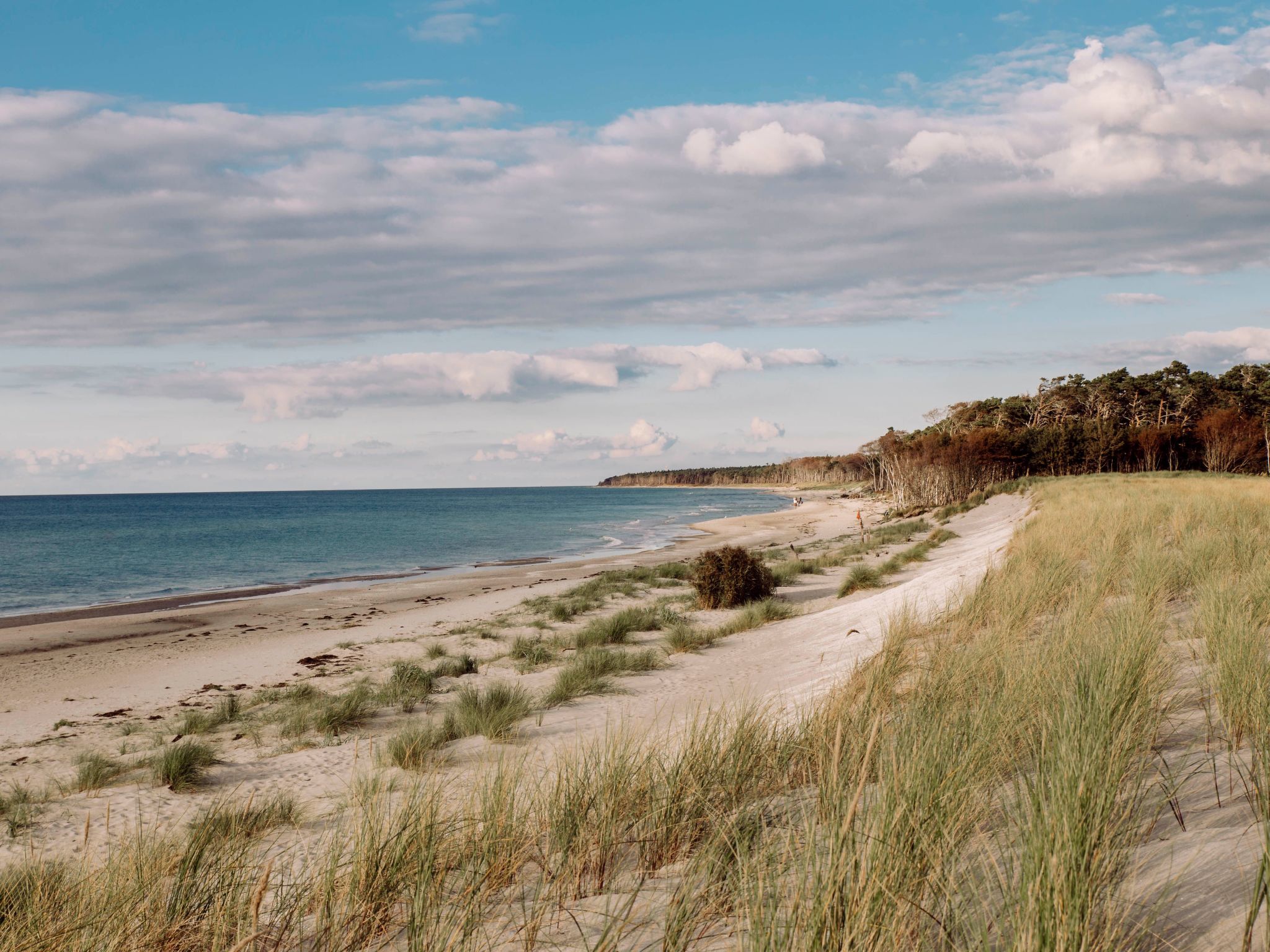 Admiral's Cor. Gulet-Binnen