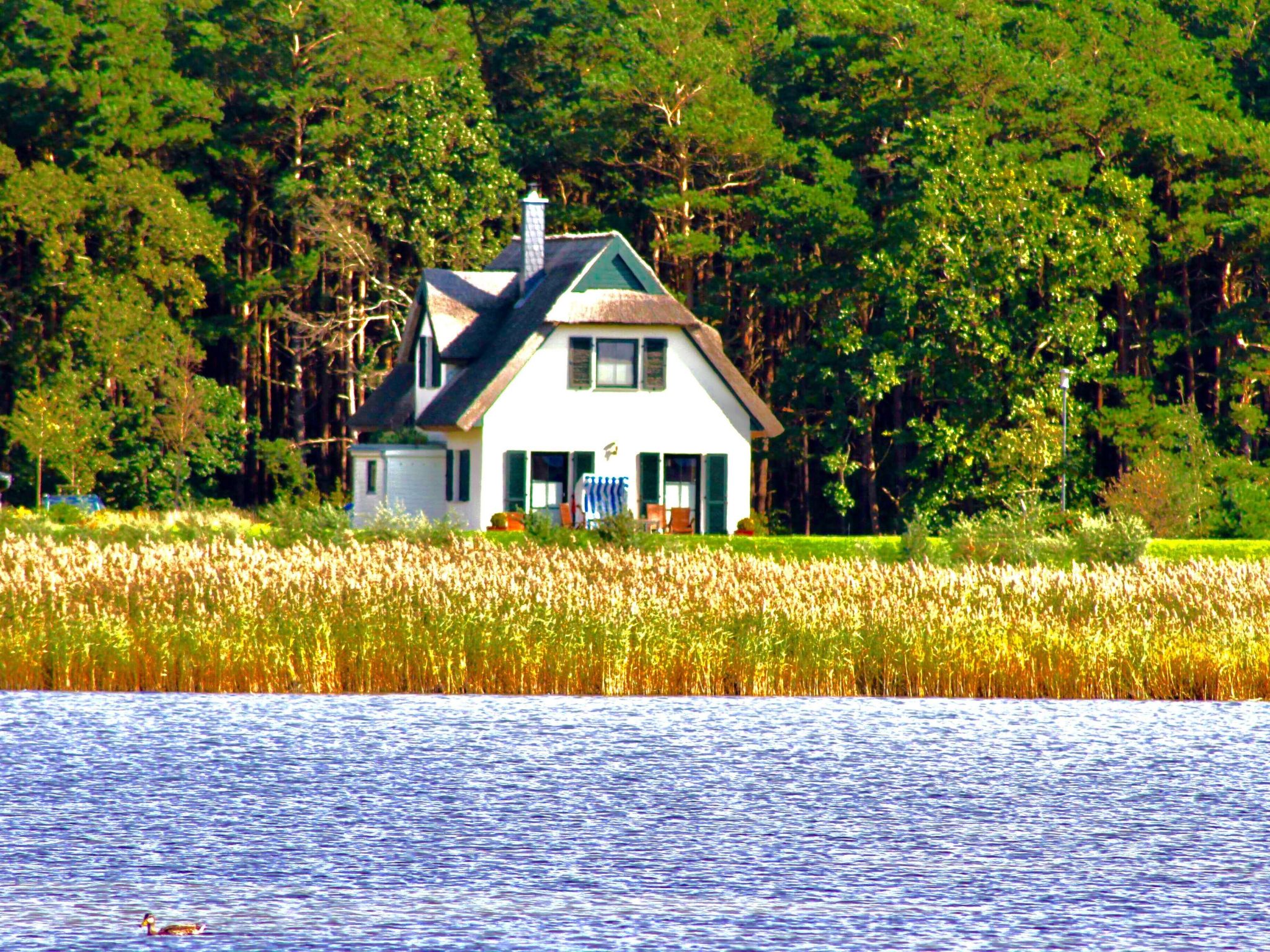 Vakantiehuis in Breege (Duitsland) 1 hond is welkom
