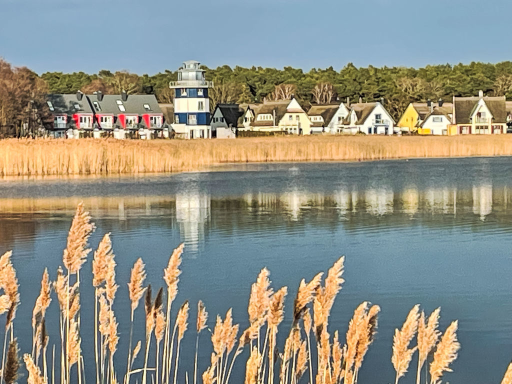 Feriehus Deichhaus Düne Breege (3)