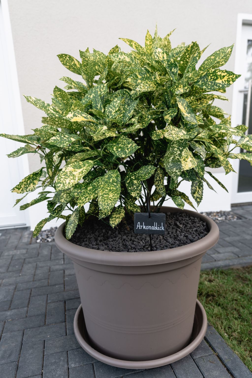 Ostseehaus am Naturstand - Arkonablick