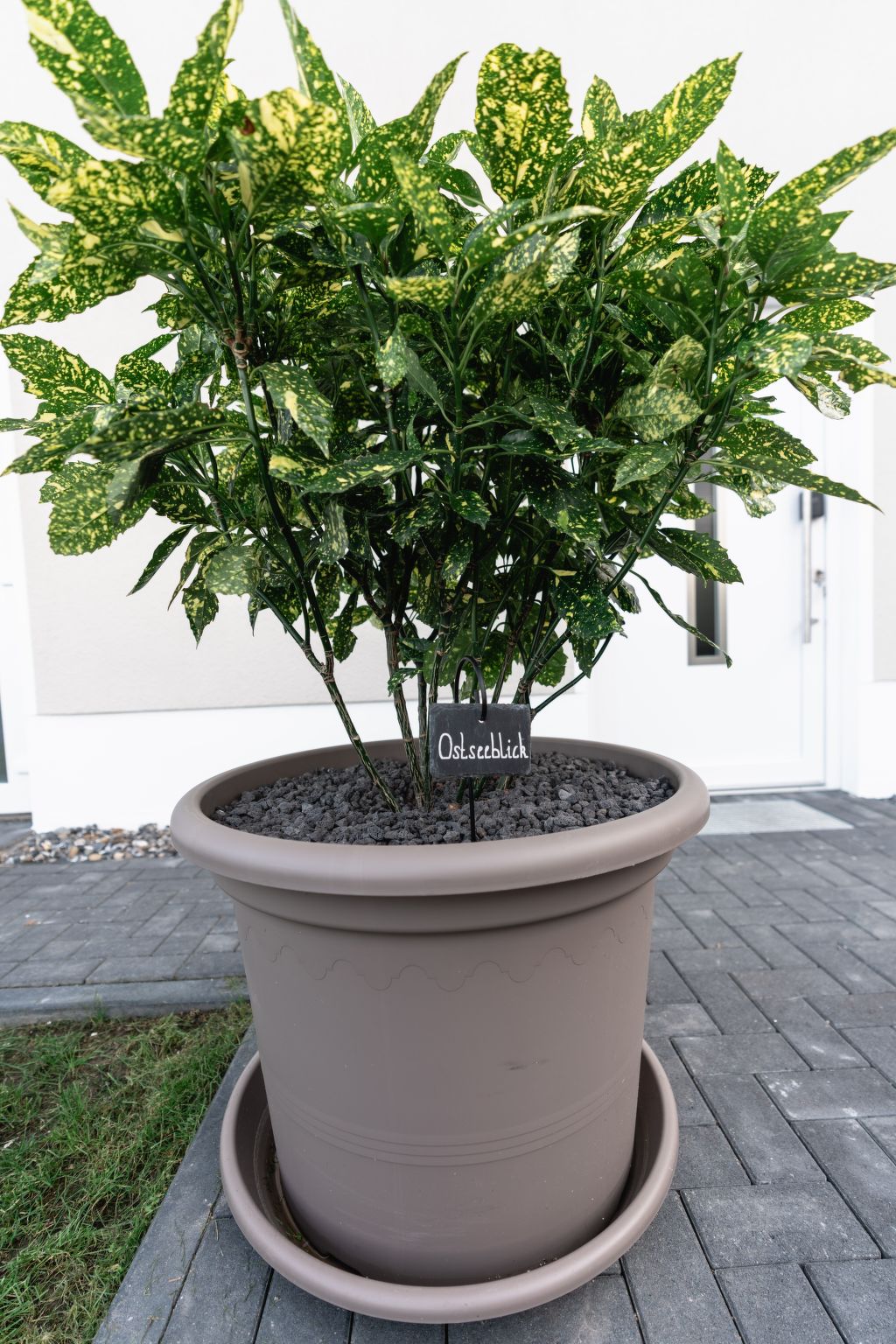 Herzlich willkommen im Ostseehaus am Naturstand - Ostseeblick!-Image-tags.info