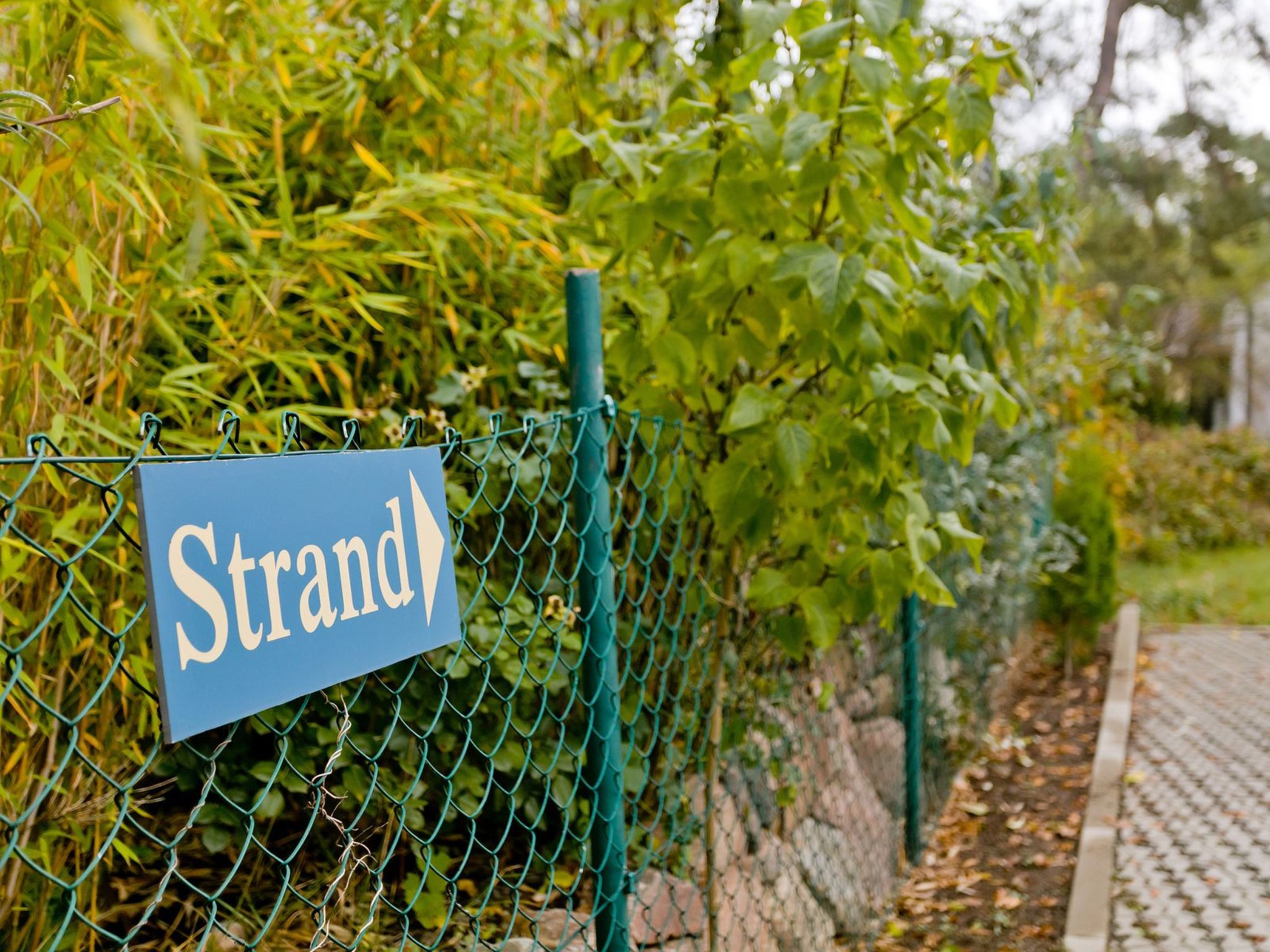 Dünenblick in Breege-Image-tags.info