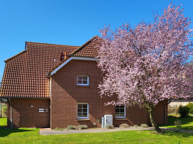 Op 300 m van zee: Rustgevend appartement in het centrum van Waase in Waase
