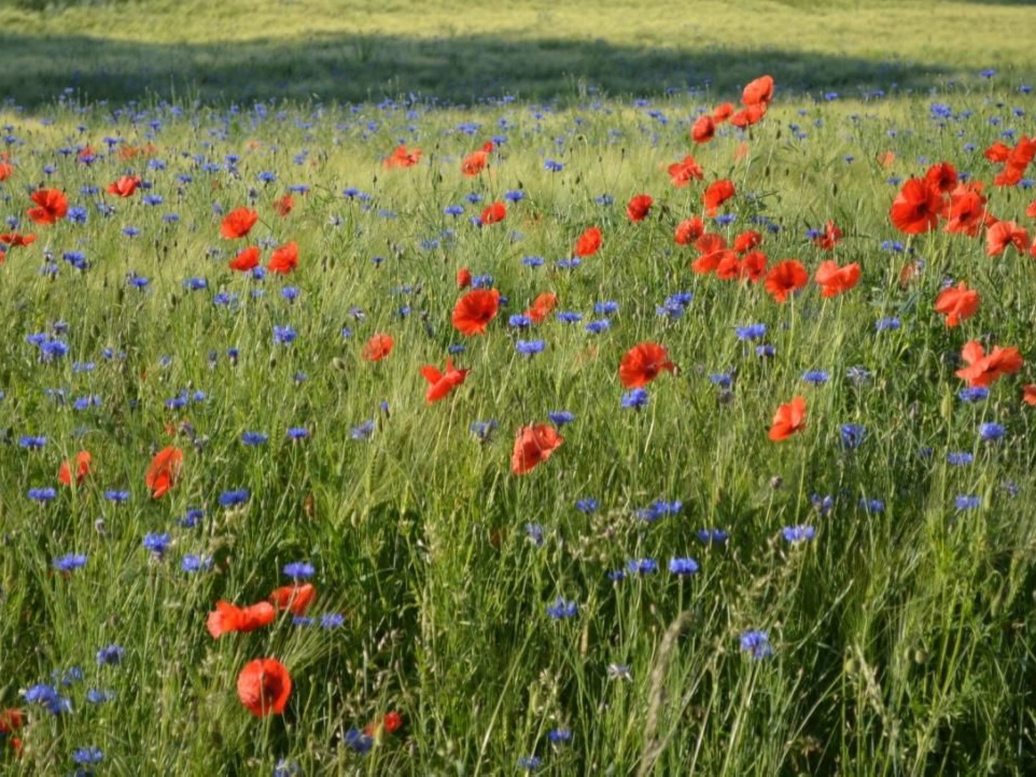 La Mer in Altefähr-Binnen