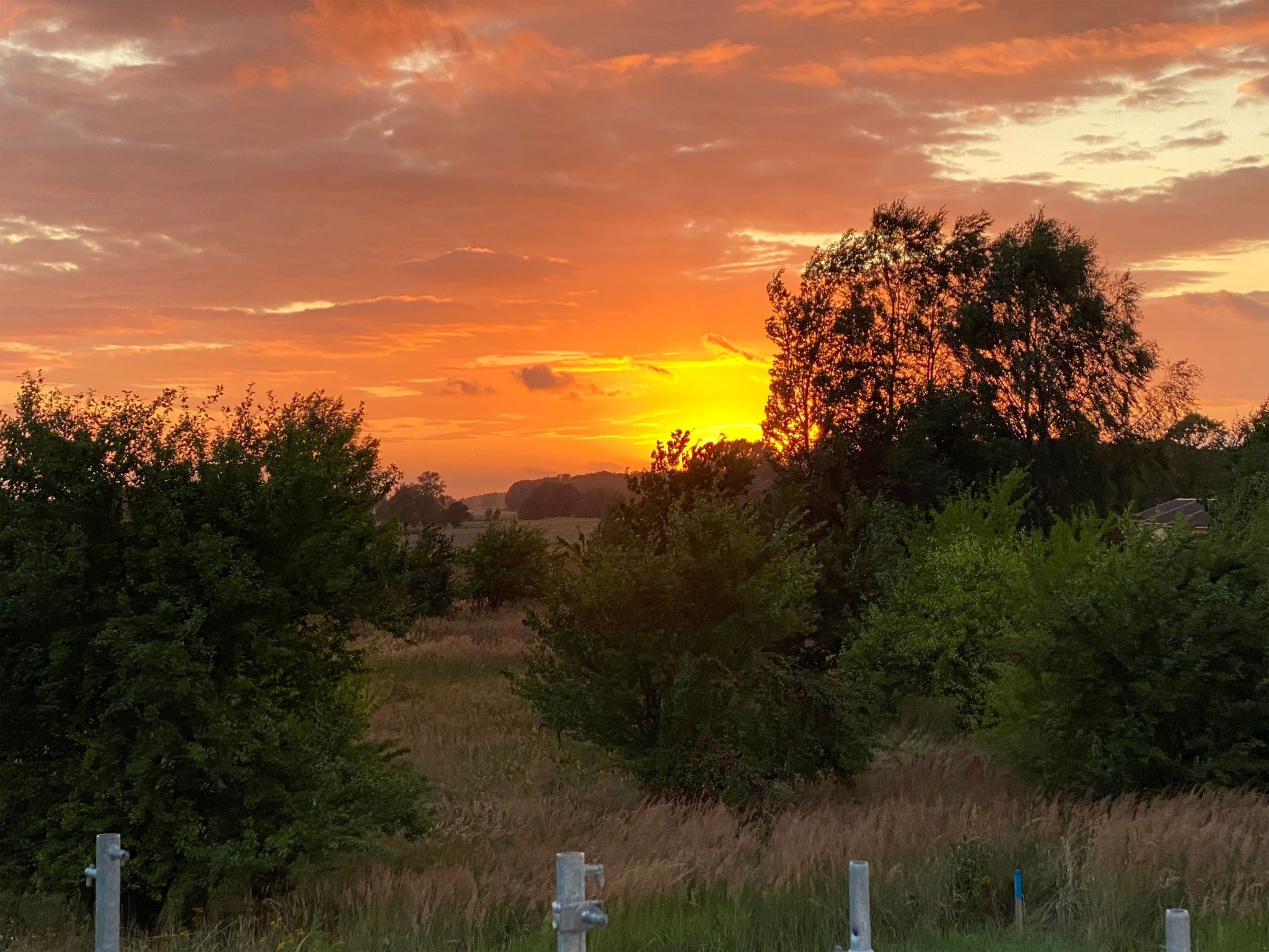 Kranichblick-Image-tags.info