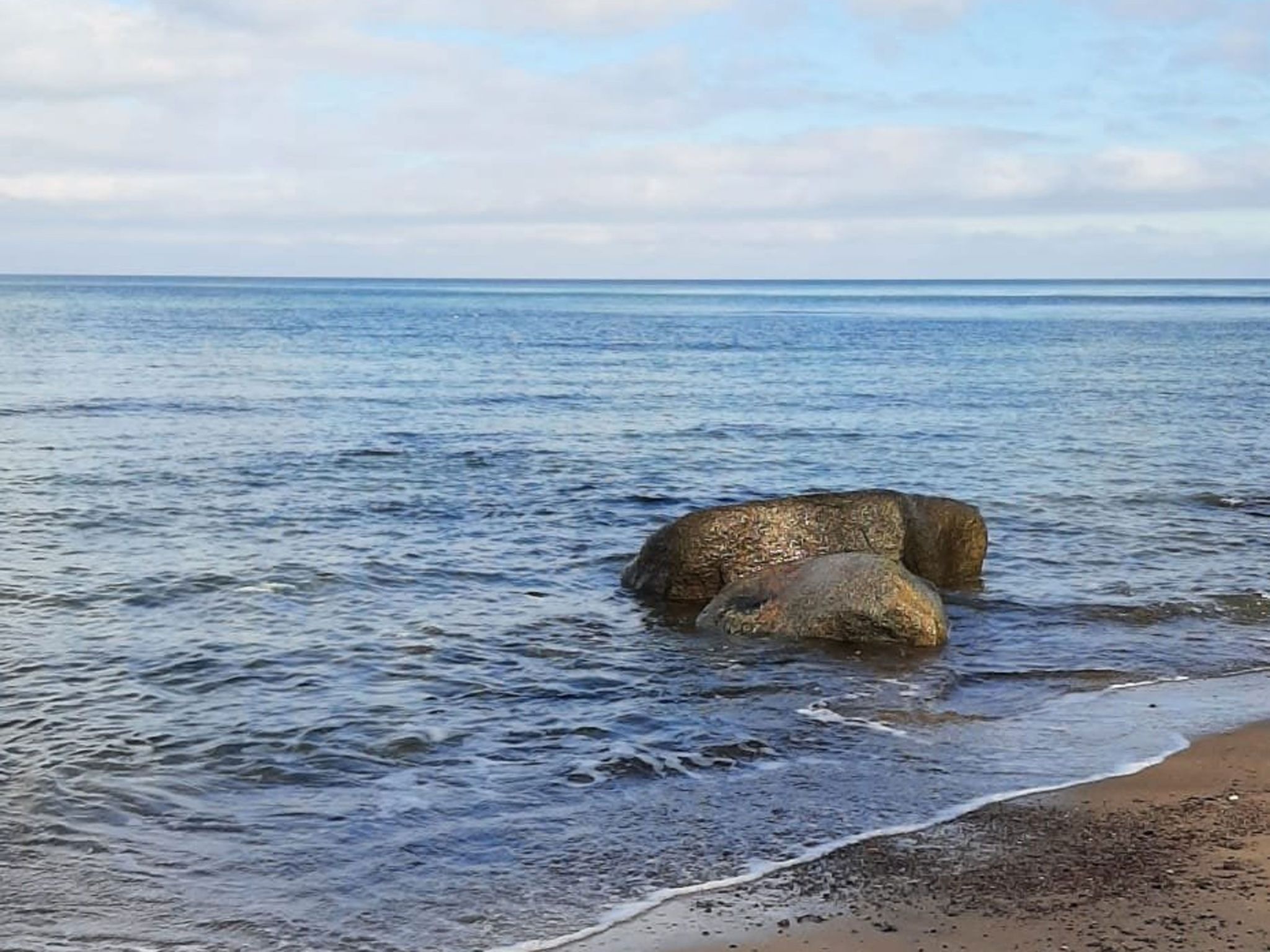 Kranichblick-Image-tags.info