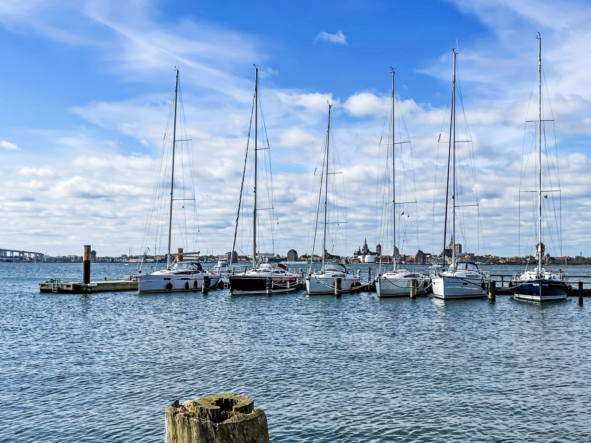 Mermaid - Area