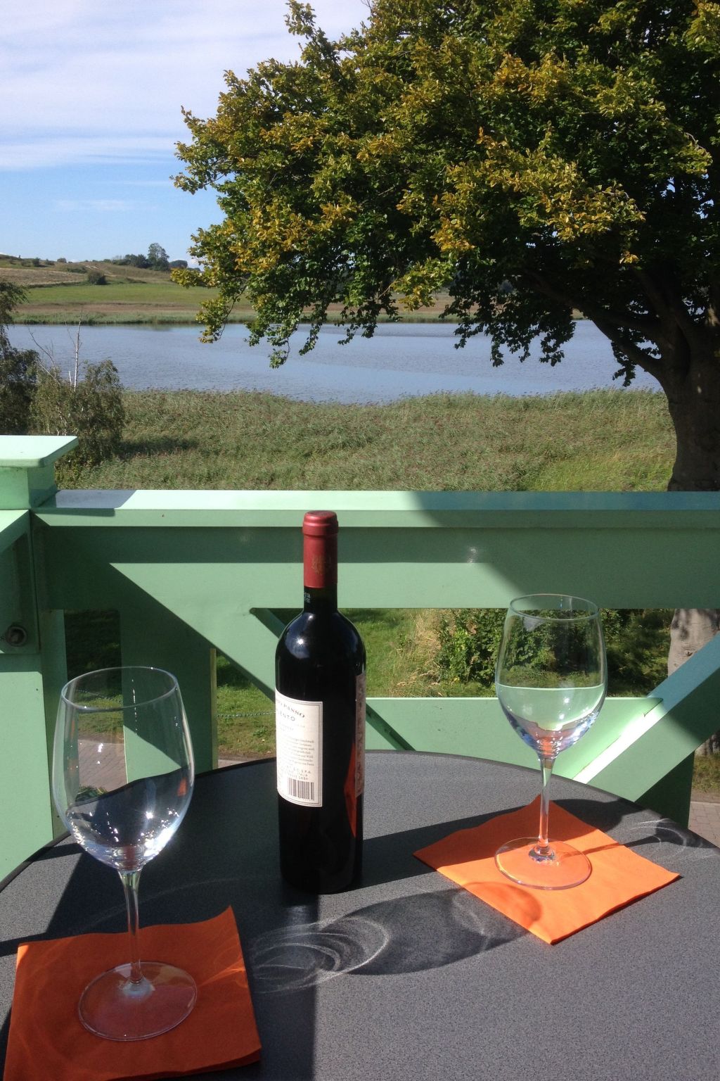 Schöne Wohnung mit Seeblick und drei Balkonen-Binnen