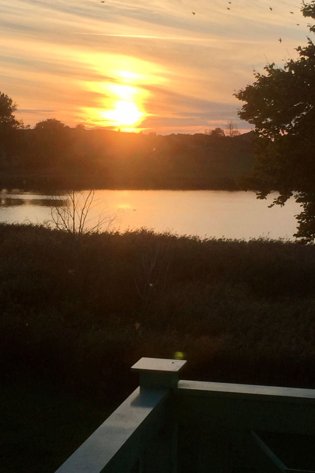 Schöne Wohnung mit Seeblick und drei Balkonen-Binnen