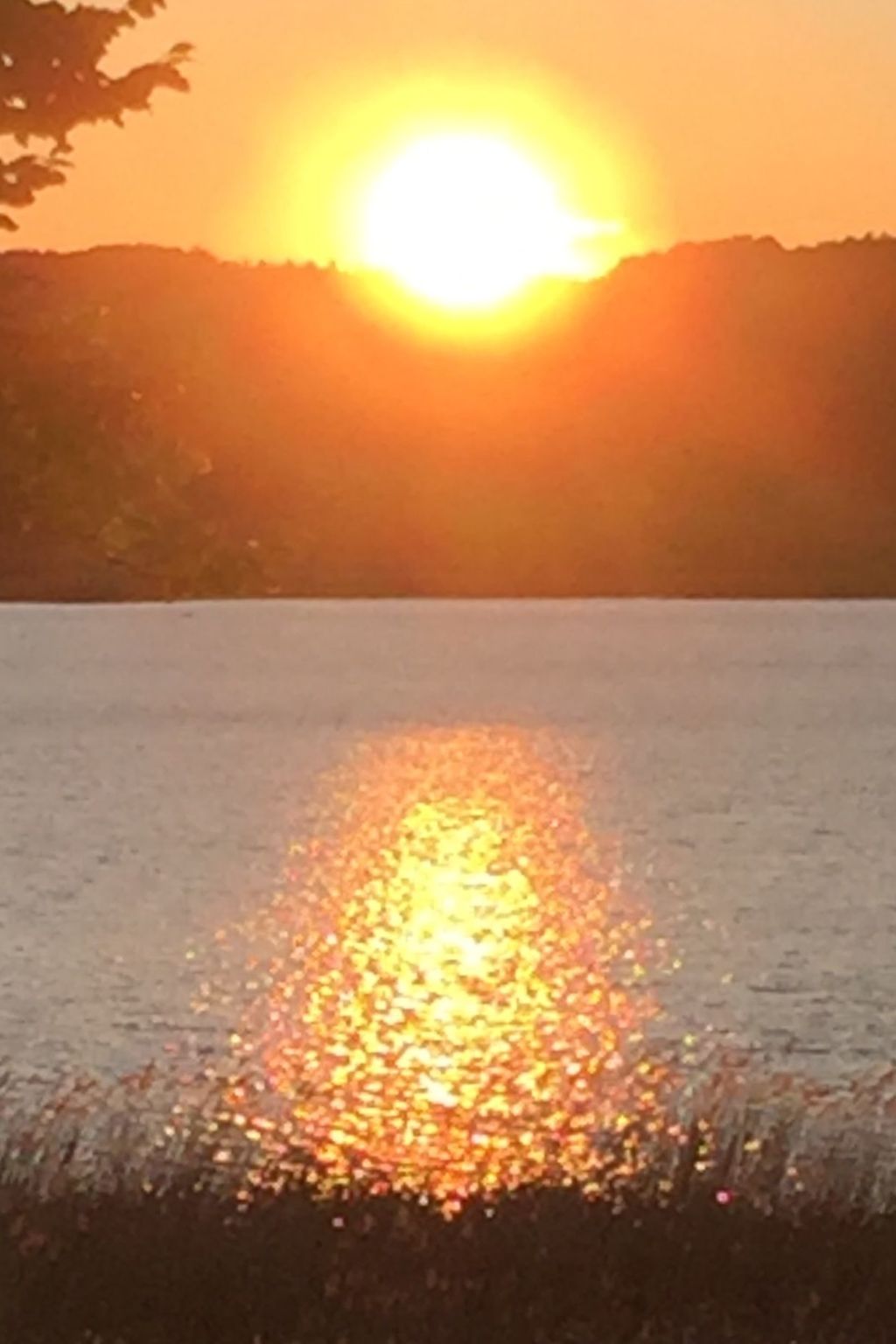 Schöne Wohnung mit Seeblick und drei Balkonen-Binnen