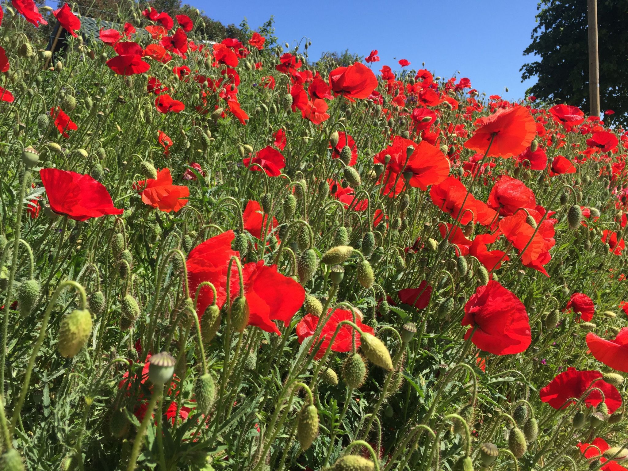 Schöne Wohnung mit Seeblick und drei Balkonen-Binnen