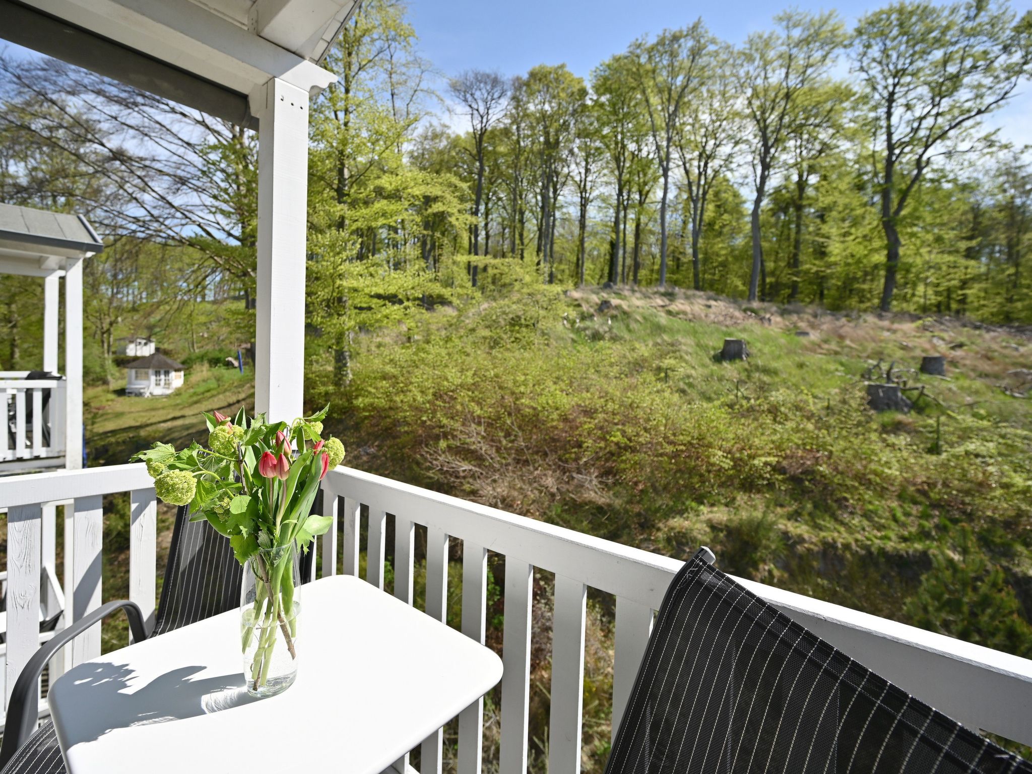 Villa Celia Sellin-Binnen