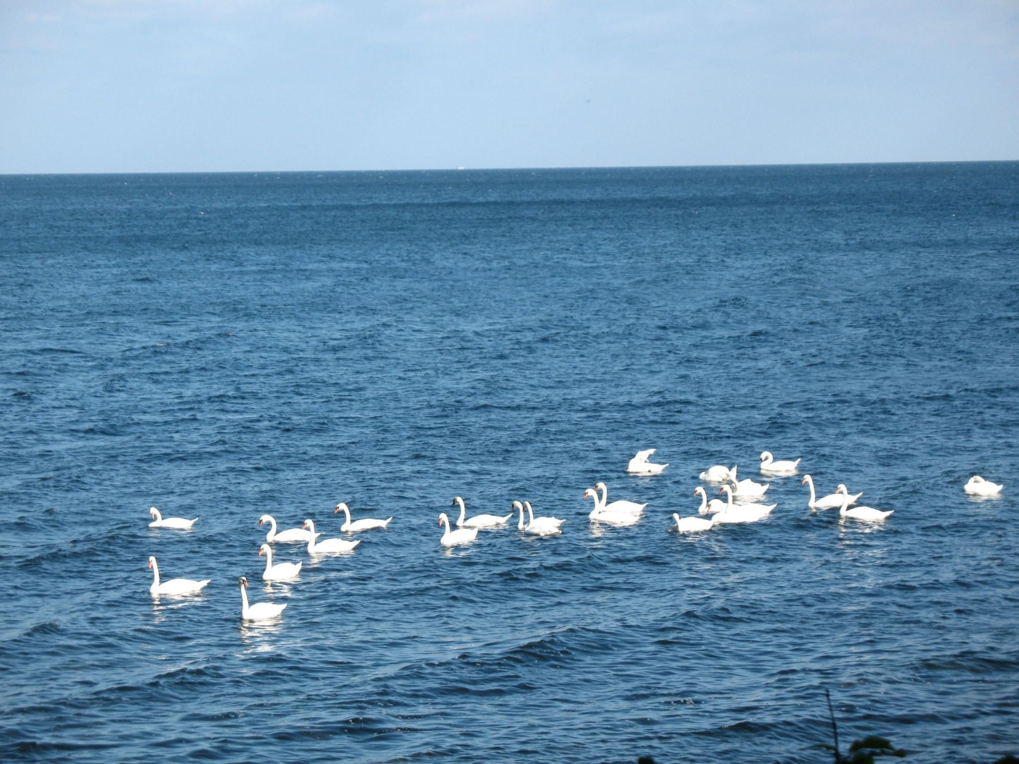 Mit Balkon in Strandnähe-Binnen