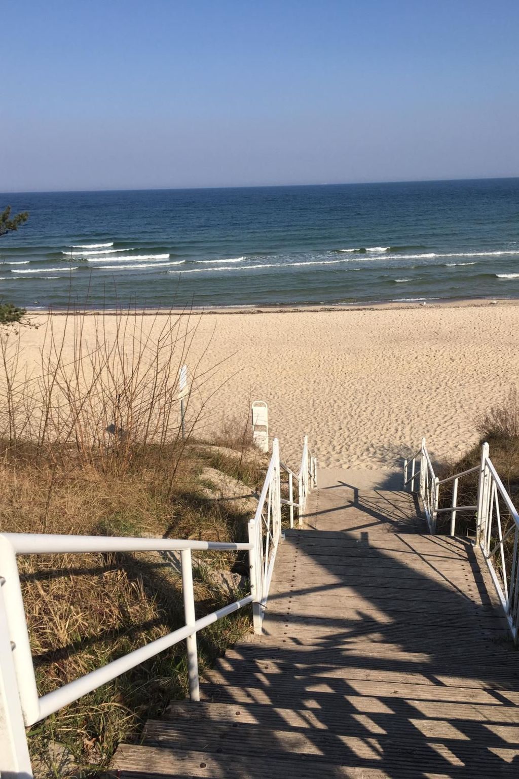 Wohnung mit Balkon in Sellin-Image-tags.info