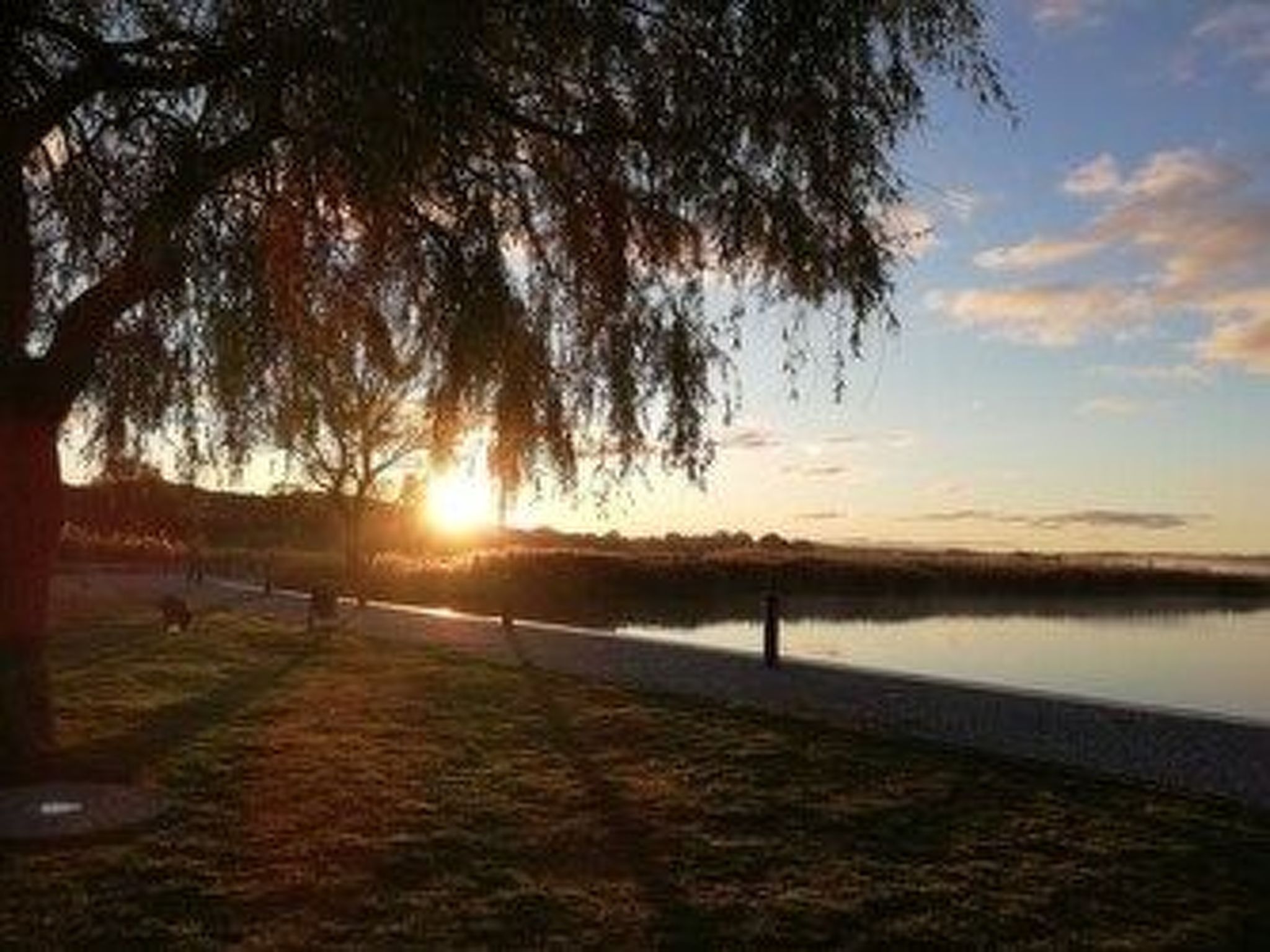 Wohnung mit Balkon in Sellin-Image-tags.info