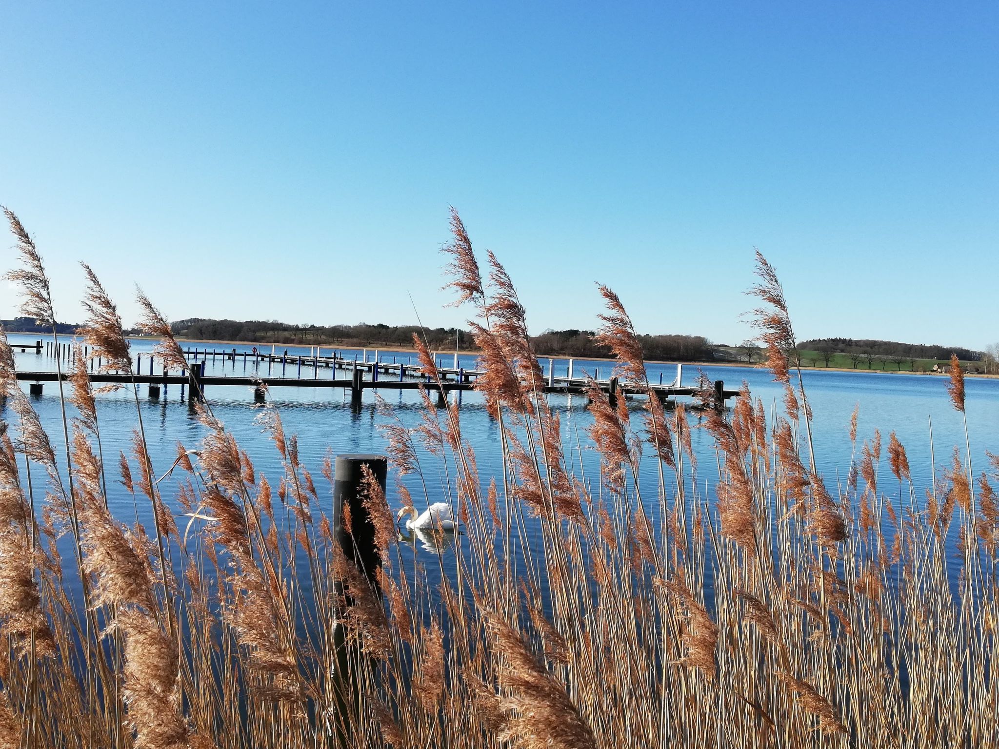 Maisonette-Wohnung direkt am Selliner See-Inside