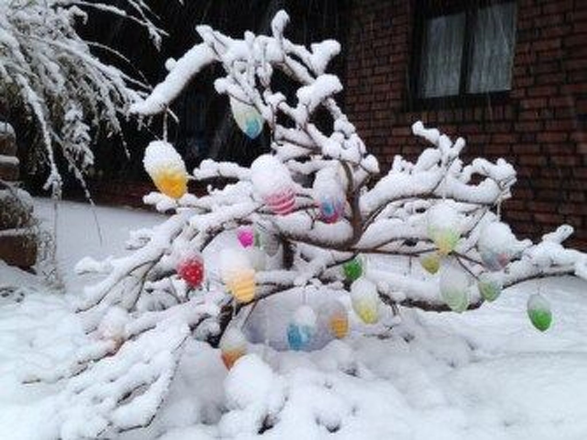 Mit Balkon in Sellin-Dedans