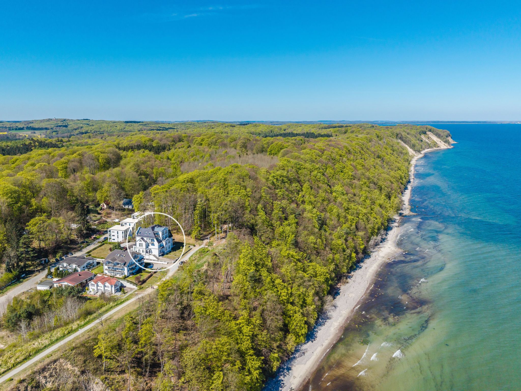 Schilfrohr Meerblick