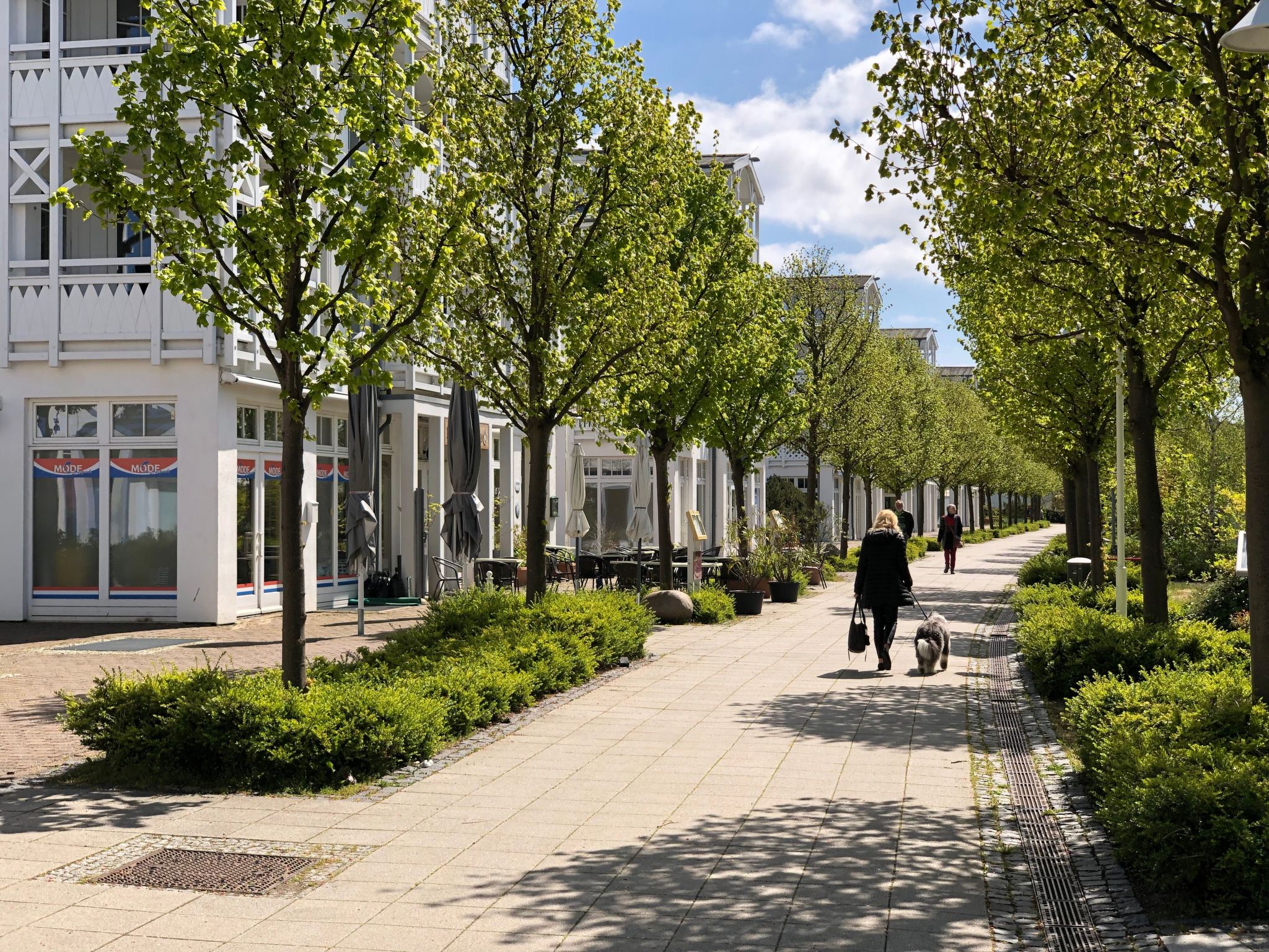 Dat Mitteltste 445-Binnen