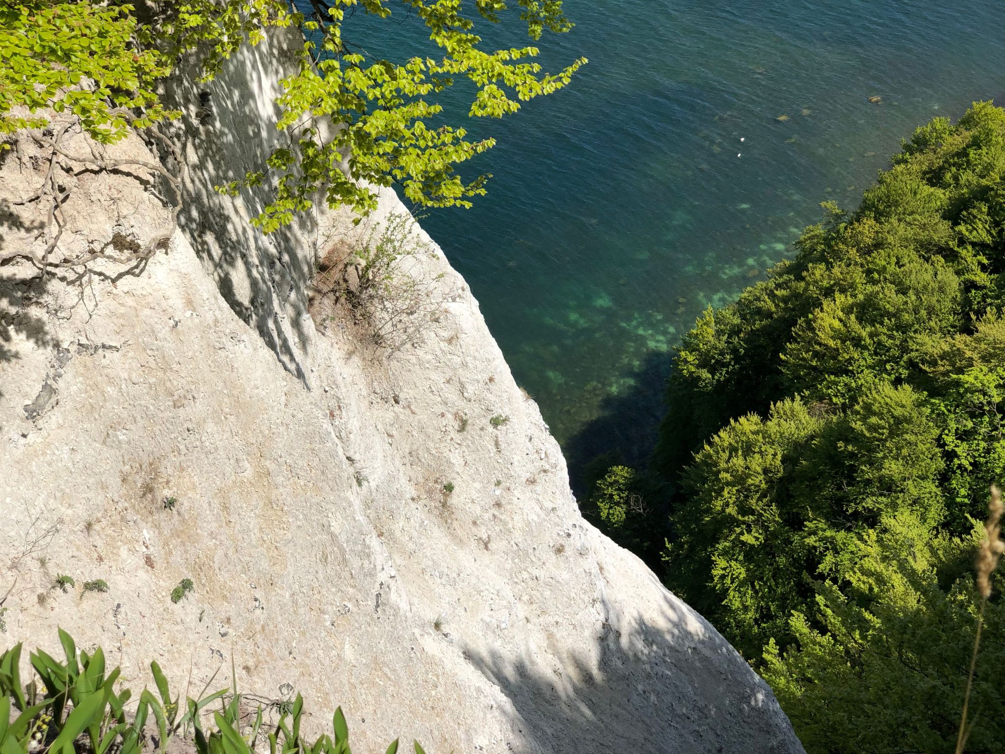 Dat Lütje 516-Binnen