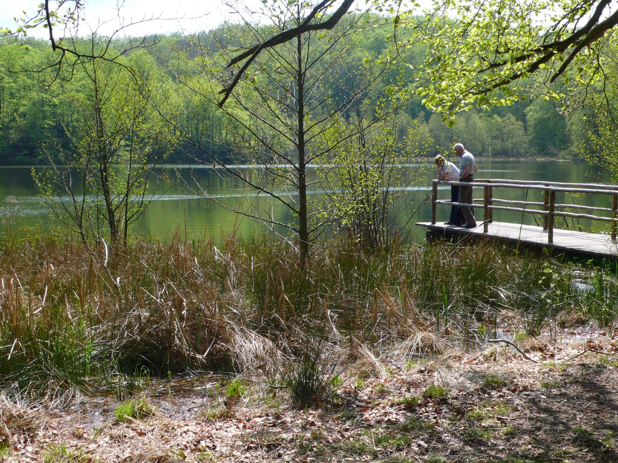 Dat Lütje 516-Binnen