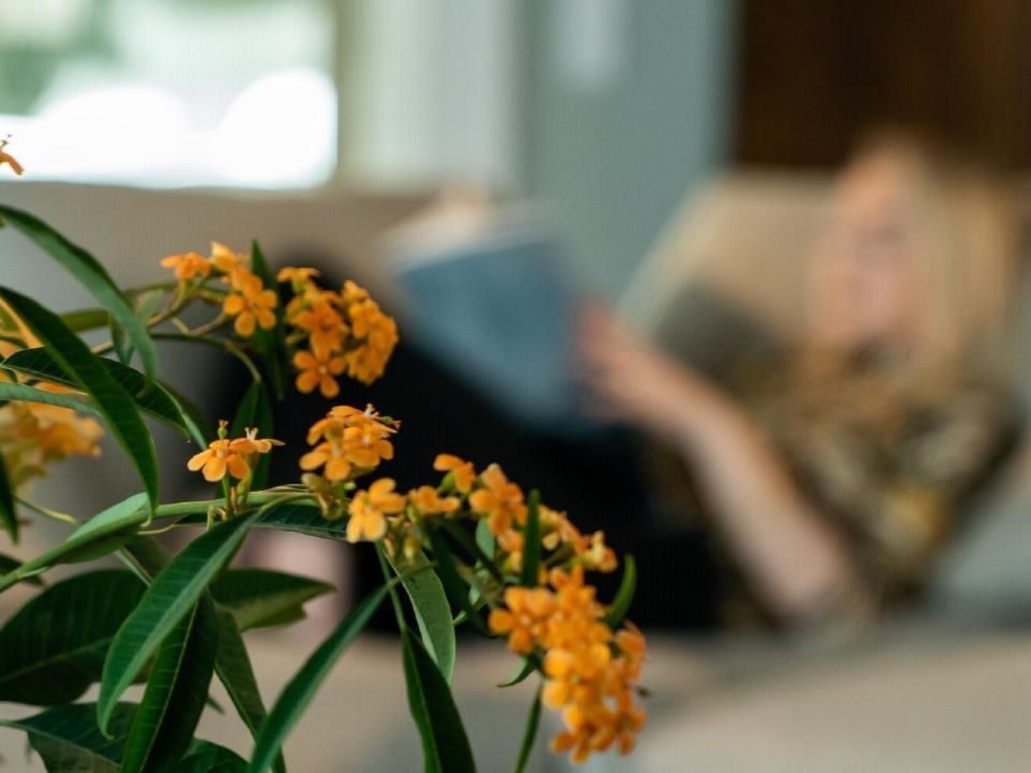 Gemütliche Wohnung mit Pool, Garten und Sauna-Image-tags.info