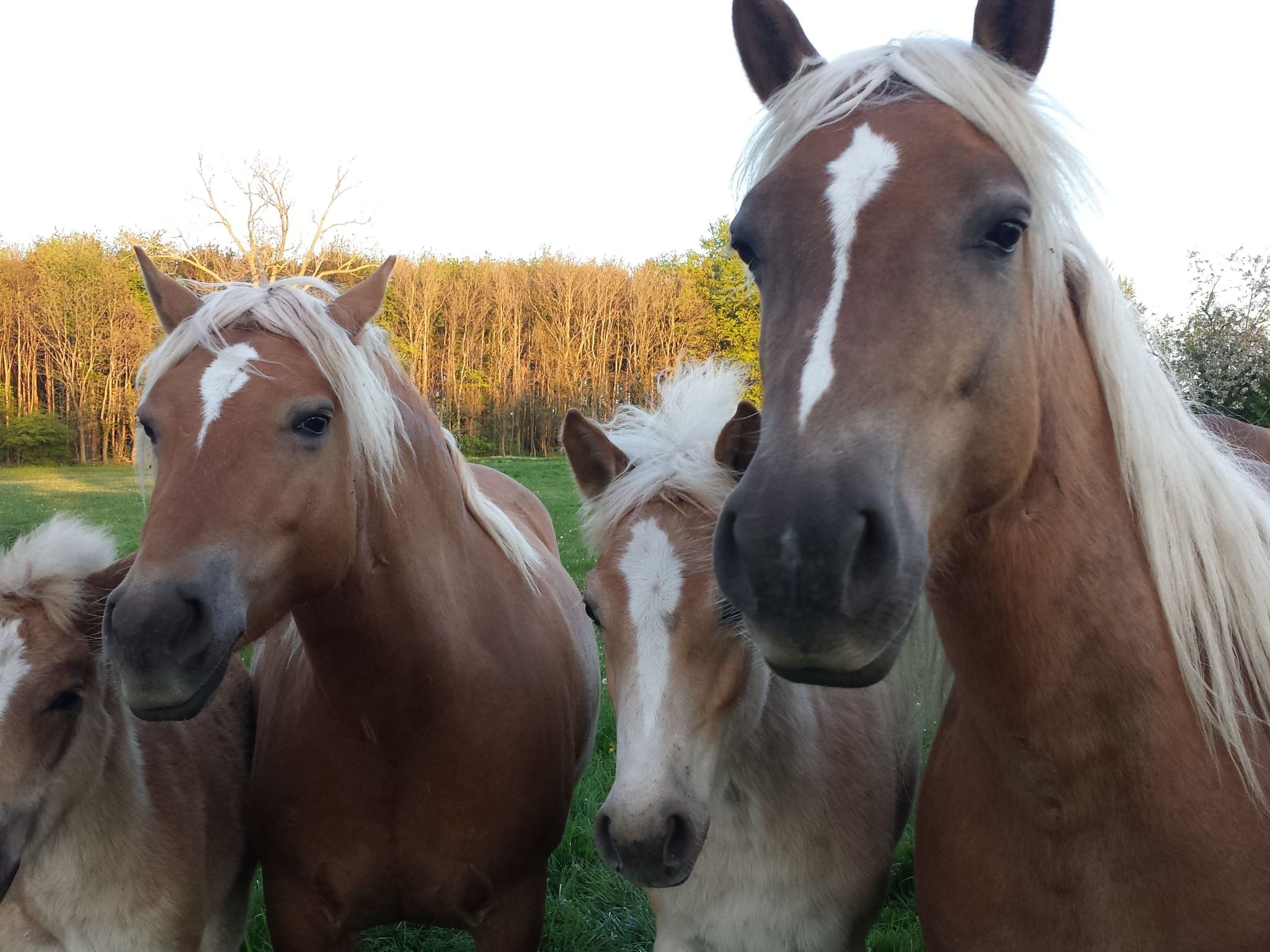 Komfortable Ferienwohnung in Waase-Inside