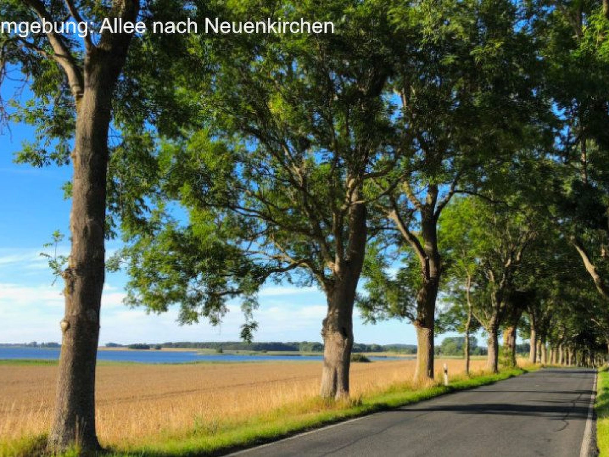 In Neuenkirchen mit Terrasse-Image-tags.info