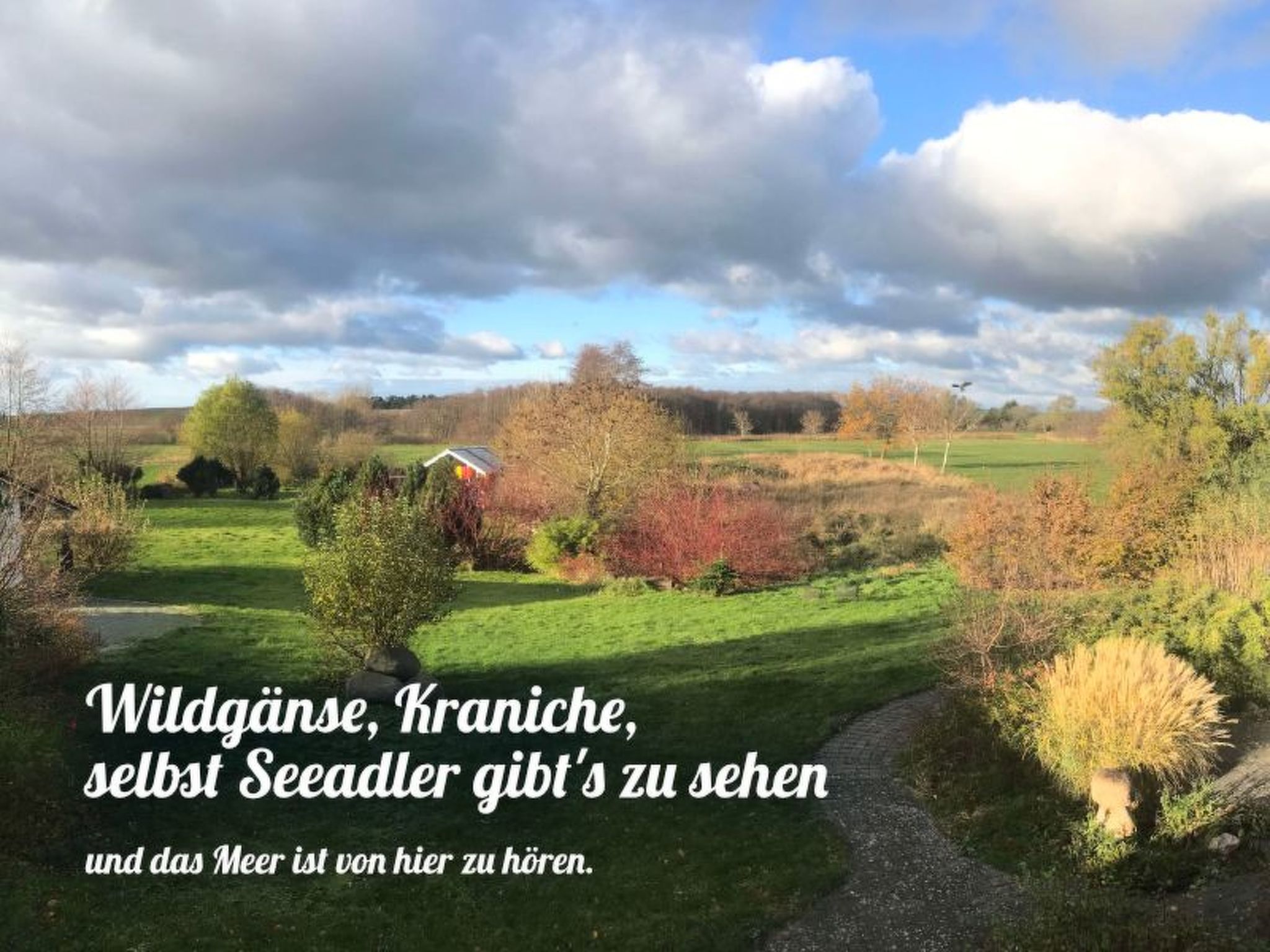 Kinderfreundliche Ferienanlage in idyllischer Lage-Image-tags.info