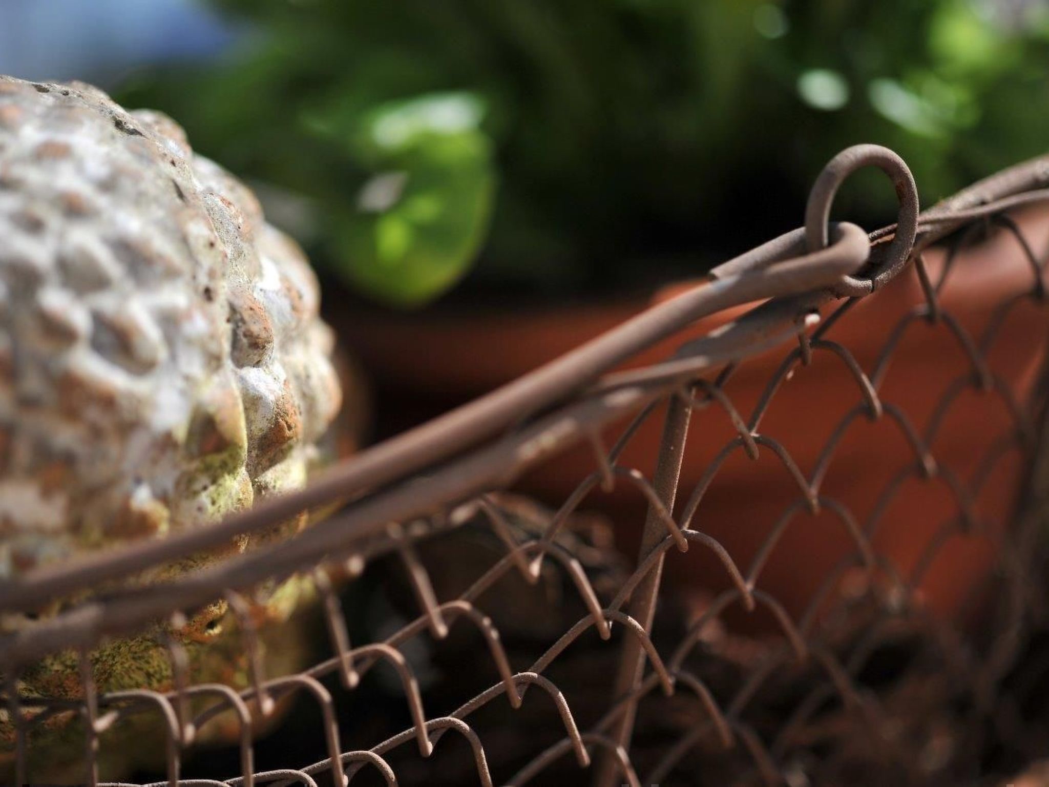 In Ummanz mit Sauna, Garten und Grill-Inside