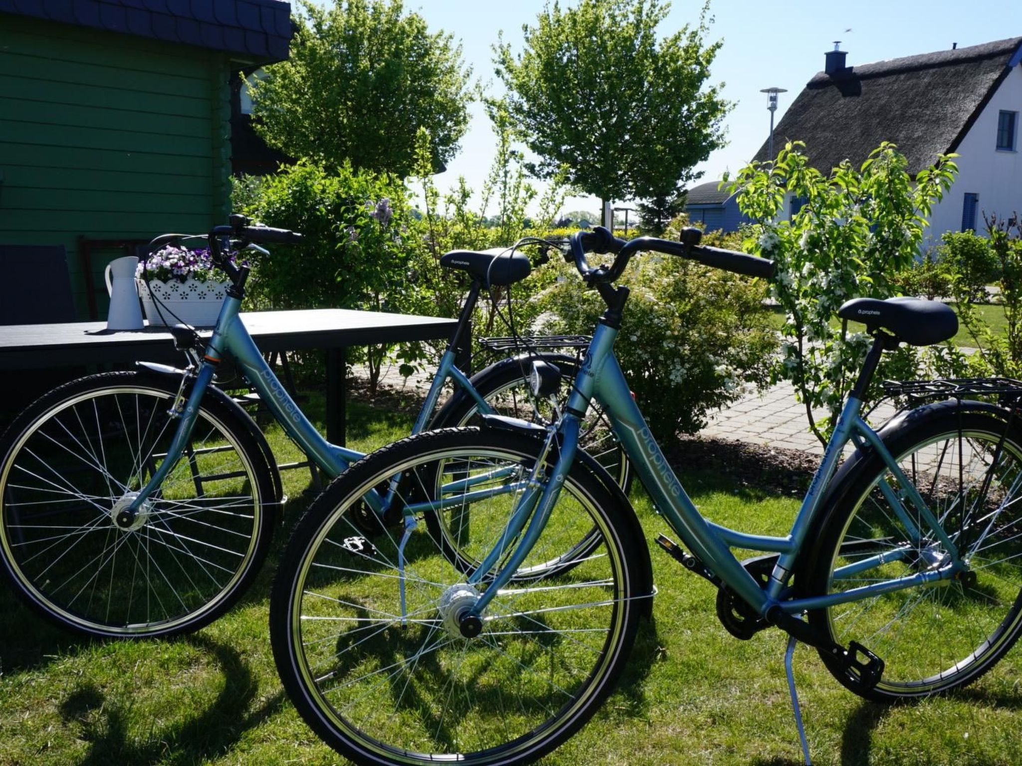 in Ummanz mit Sauna, Garten und Grill