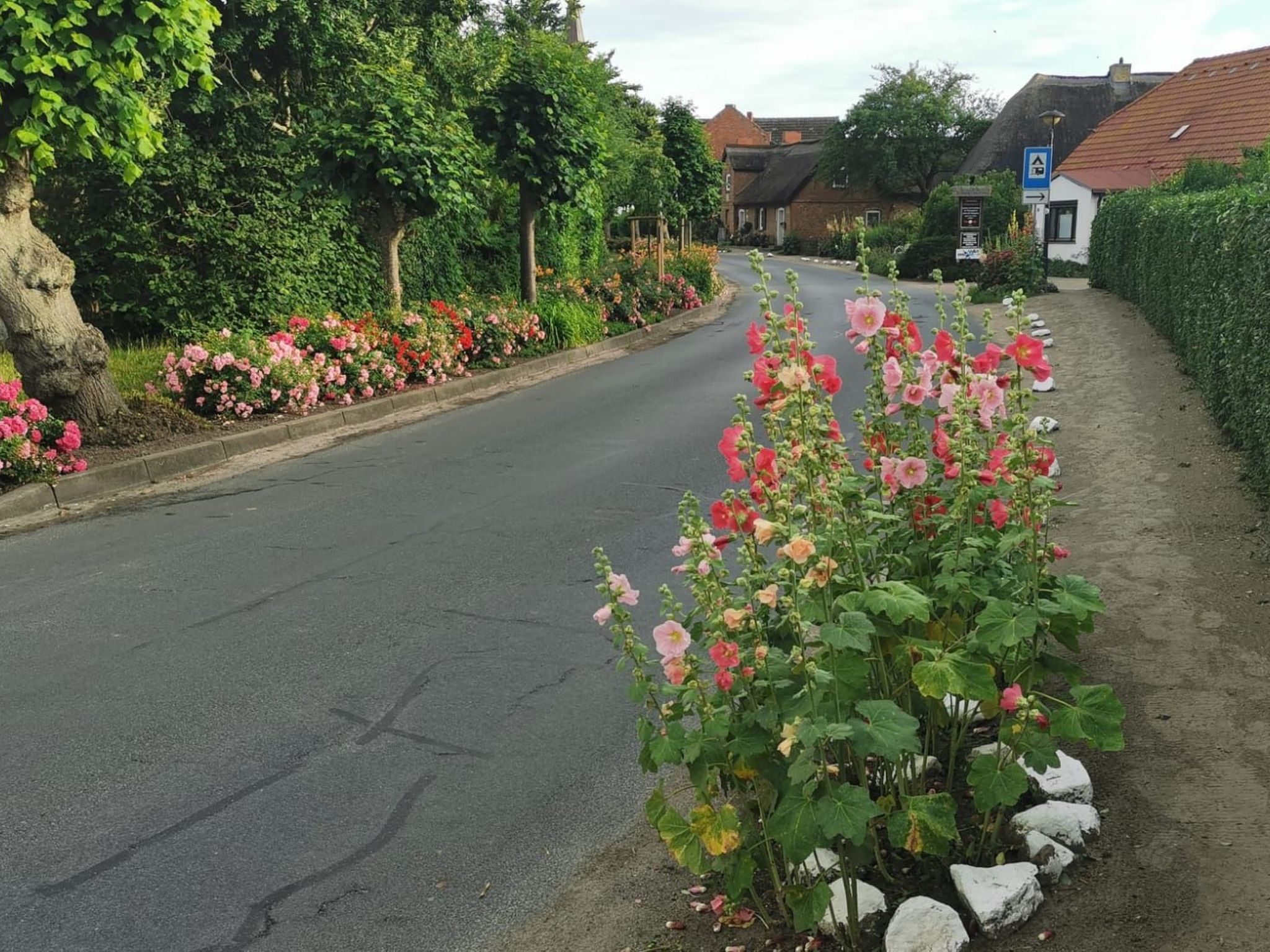 Wohnung für vier Personen im Erdgeschoss-Image-tags.info