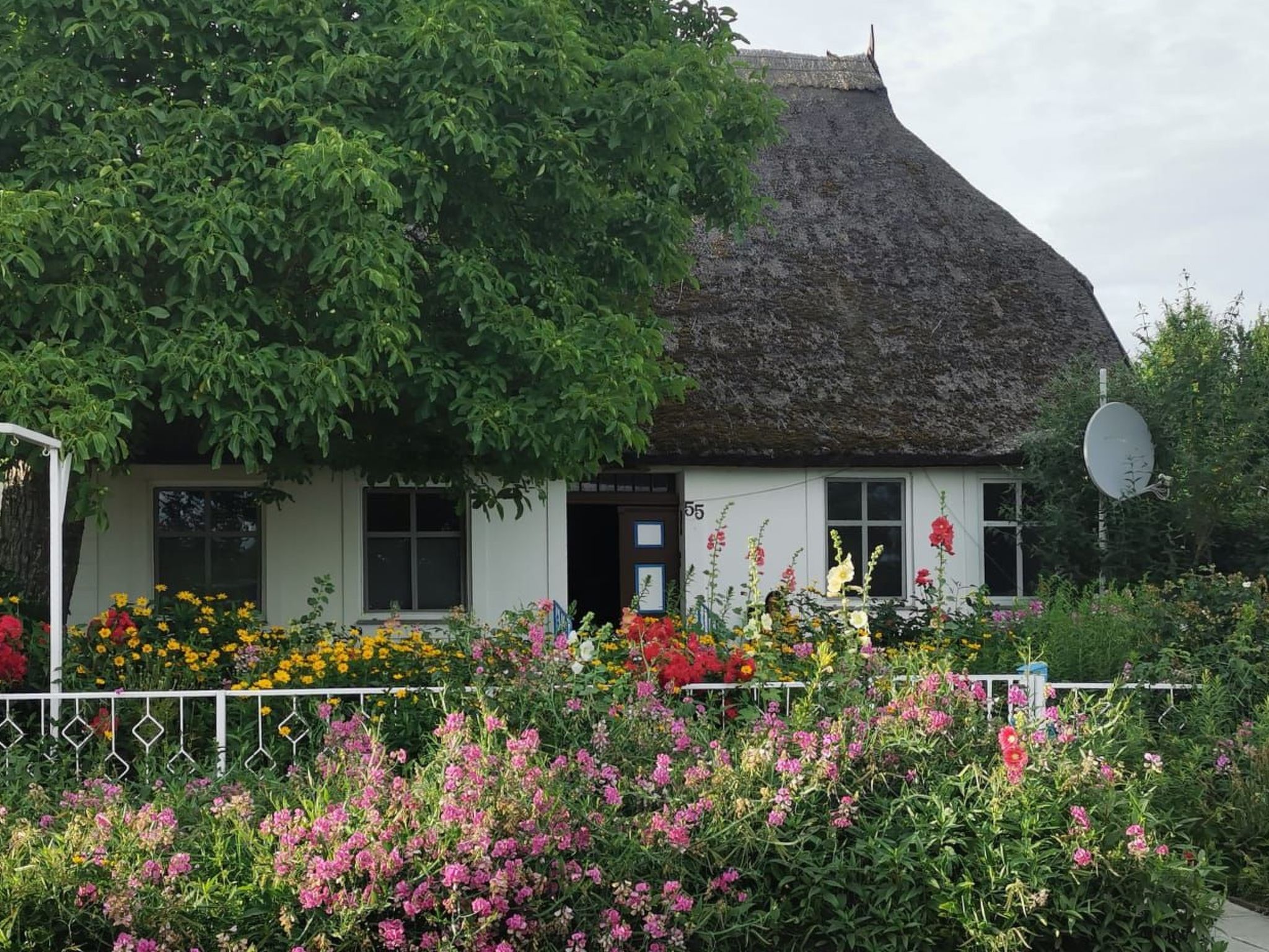 Wohnung für vier Personen im Erdgeschoss-Image-tags.info