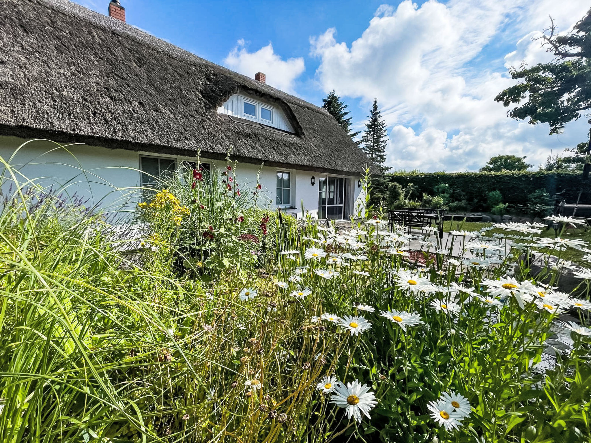 Traumhafte Ferienwohnung im Reetferienhaus