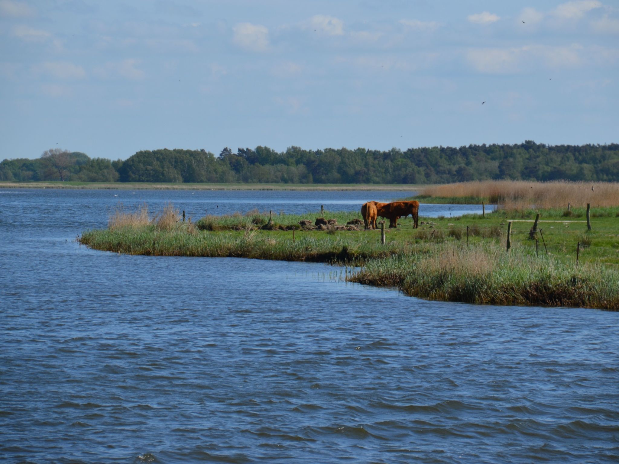 Wohnung für sechs Personen im Dachgeschoss-Image-tags.info