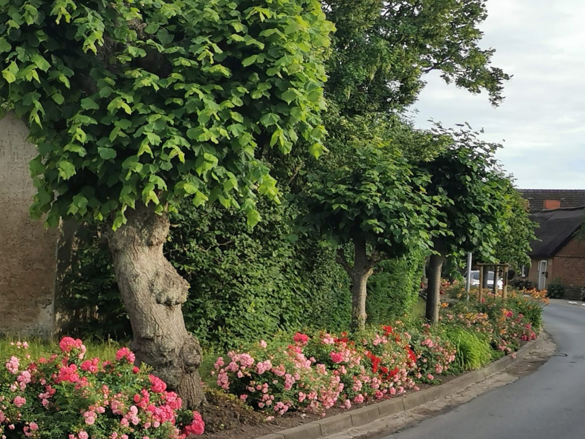 Wohnung für vier Personen im Erdgeschoss-Image-tags.info