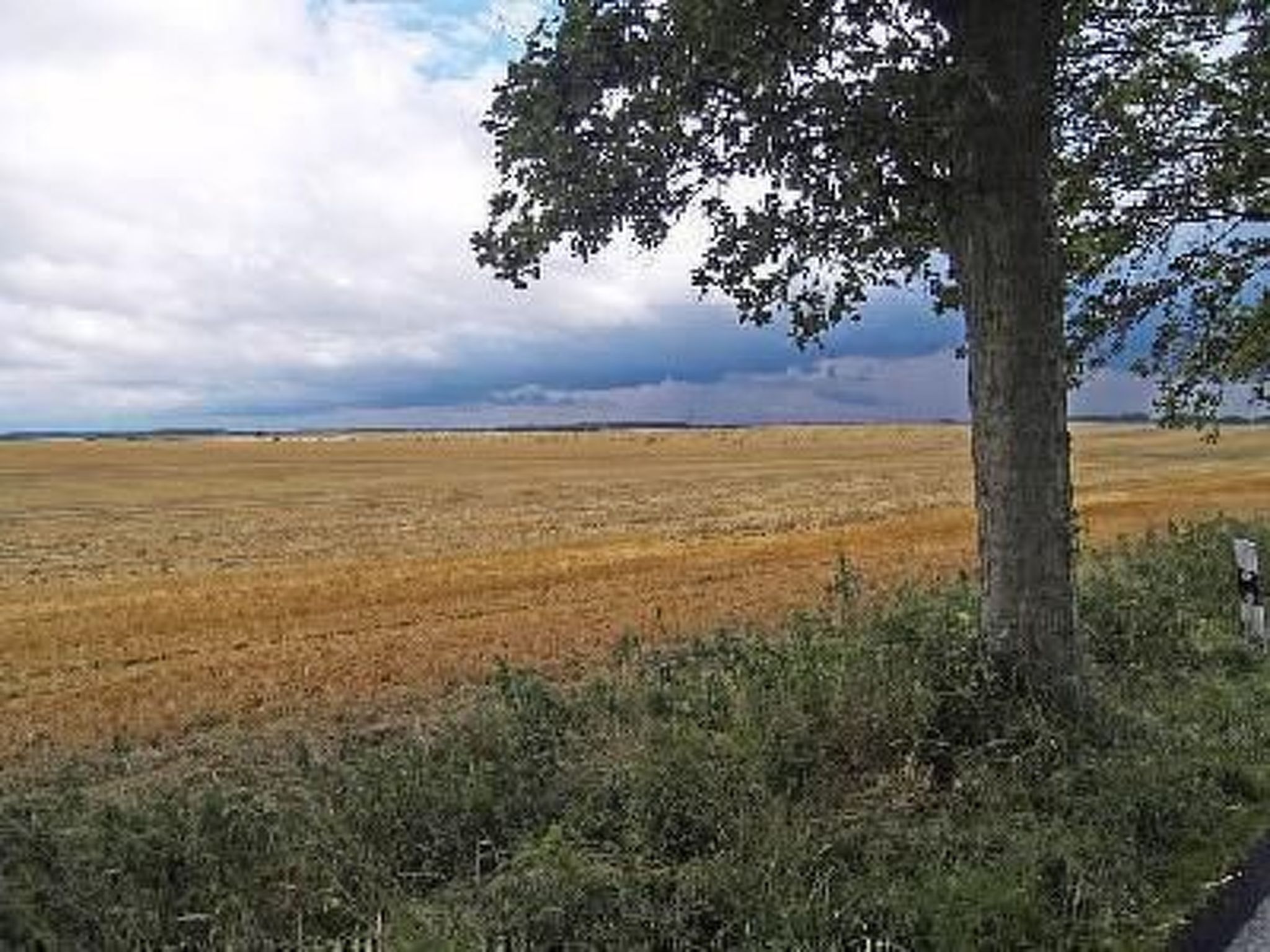 Boddenblick in Vieregge-Image-tags.info