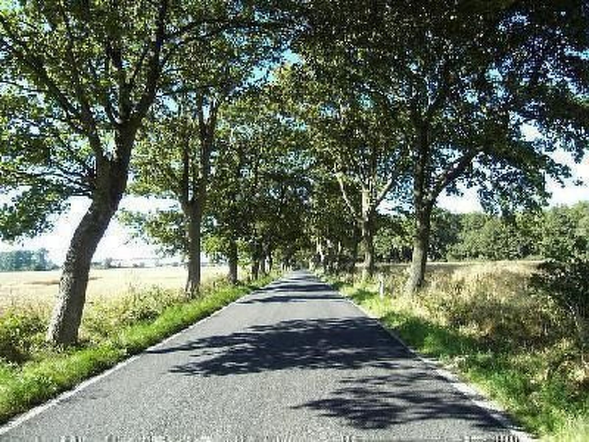 Boddenblick in Vieregge-Image-tags.info