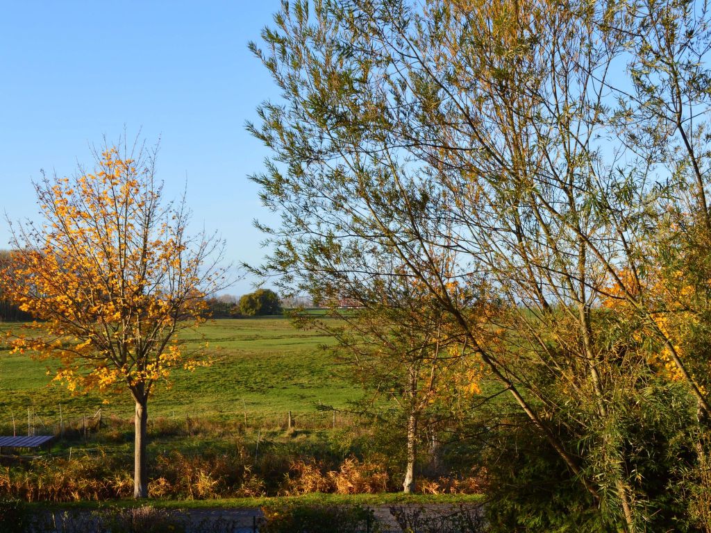 Lejlighed Komfortable Ferienwohnung in Waase mit Garten Gingst (8)