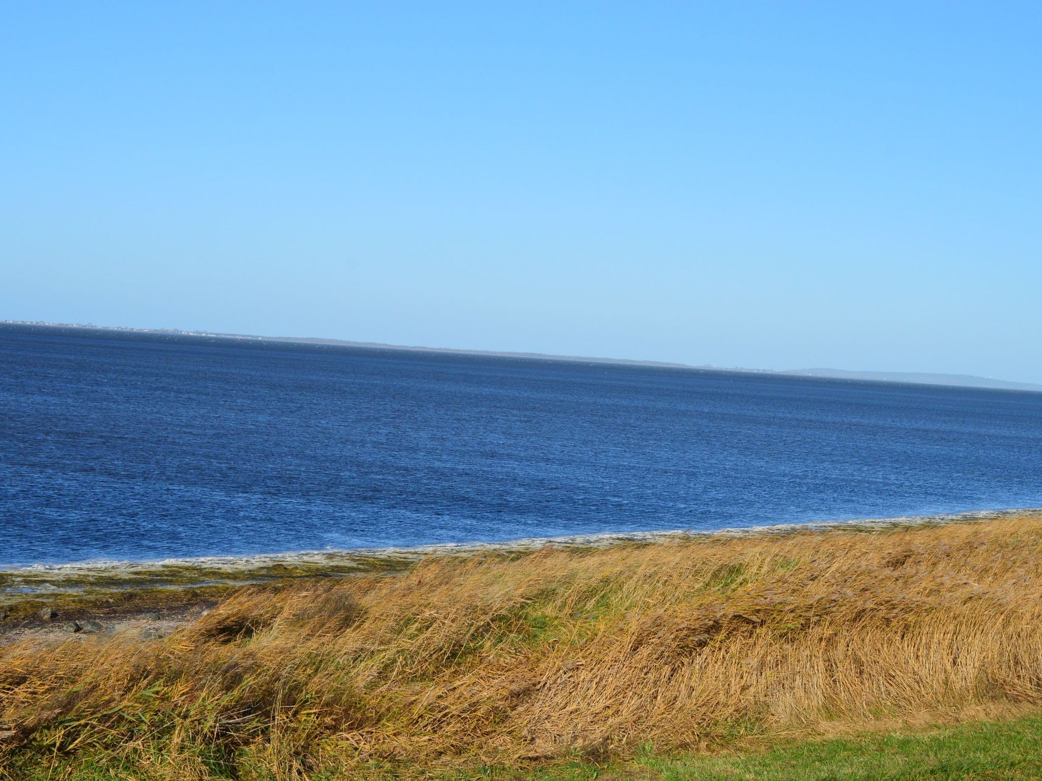 Komfortable Ferienwohnung in Waase mit Garten-Image-tags.info