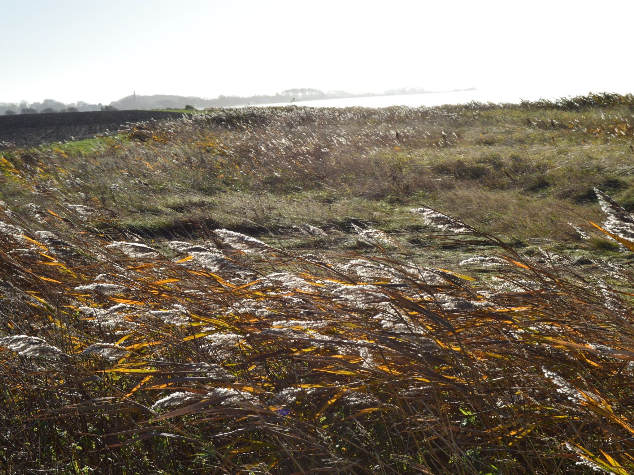 Komfortable Ferienwohnung in Waase mit Garten-Image-tags.info