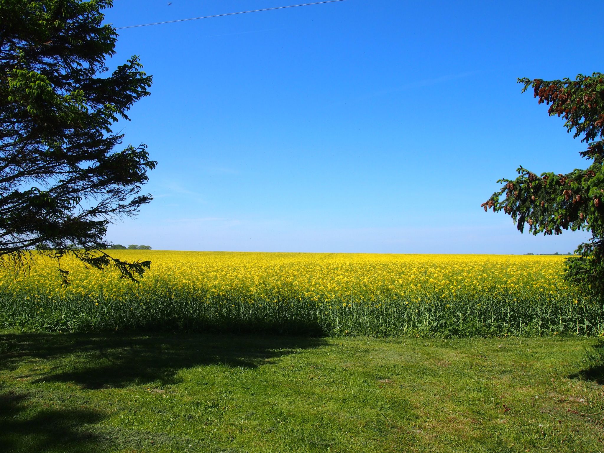 Hochwertige Ferienwohnung in Gingst-Draußen