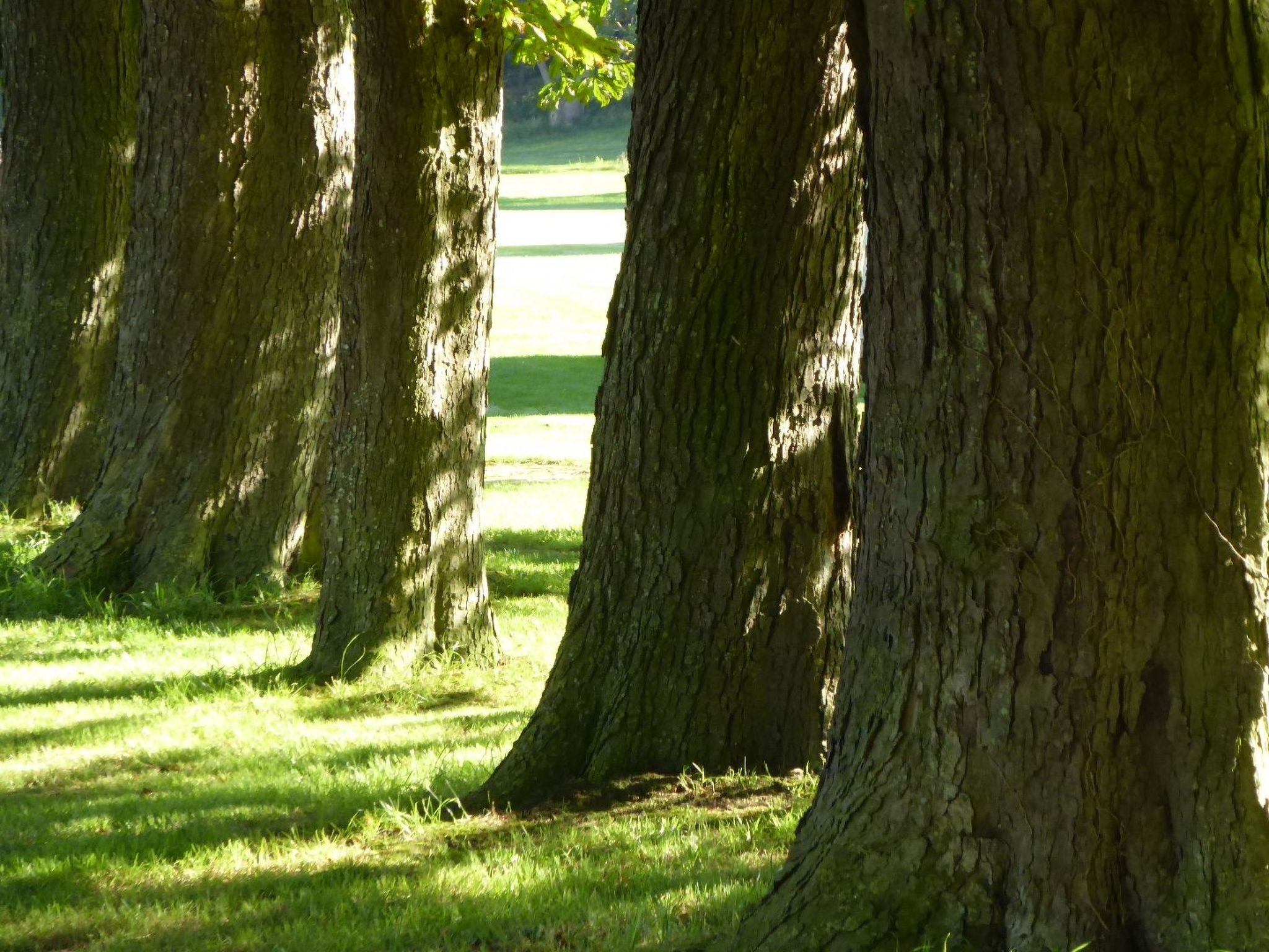 Galerie West-Draußen
