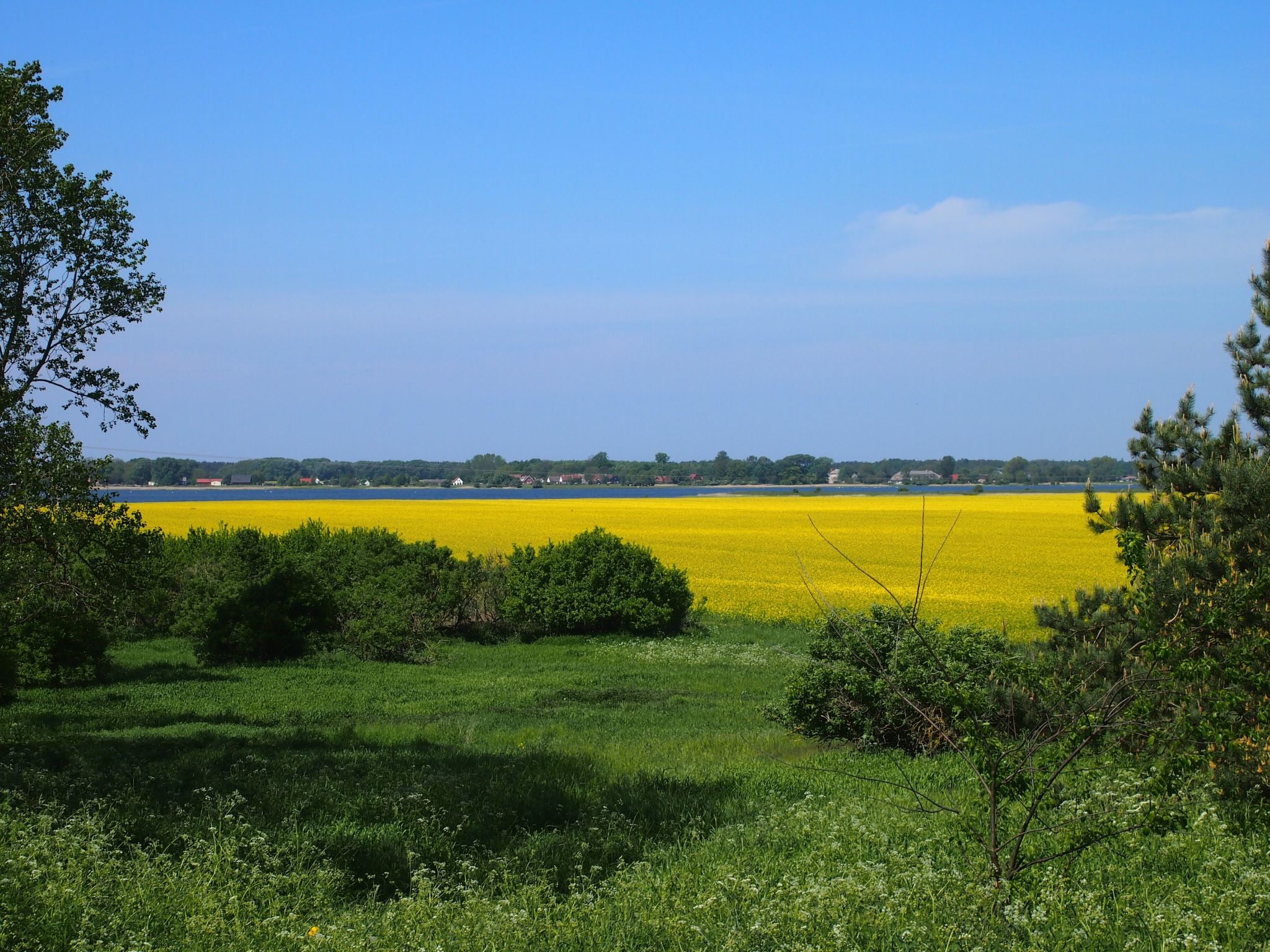 Hochwertige Ferienwohnung in Gingst-Image-tags.info