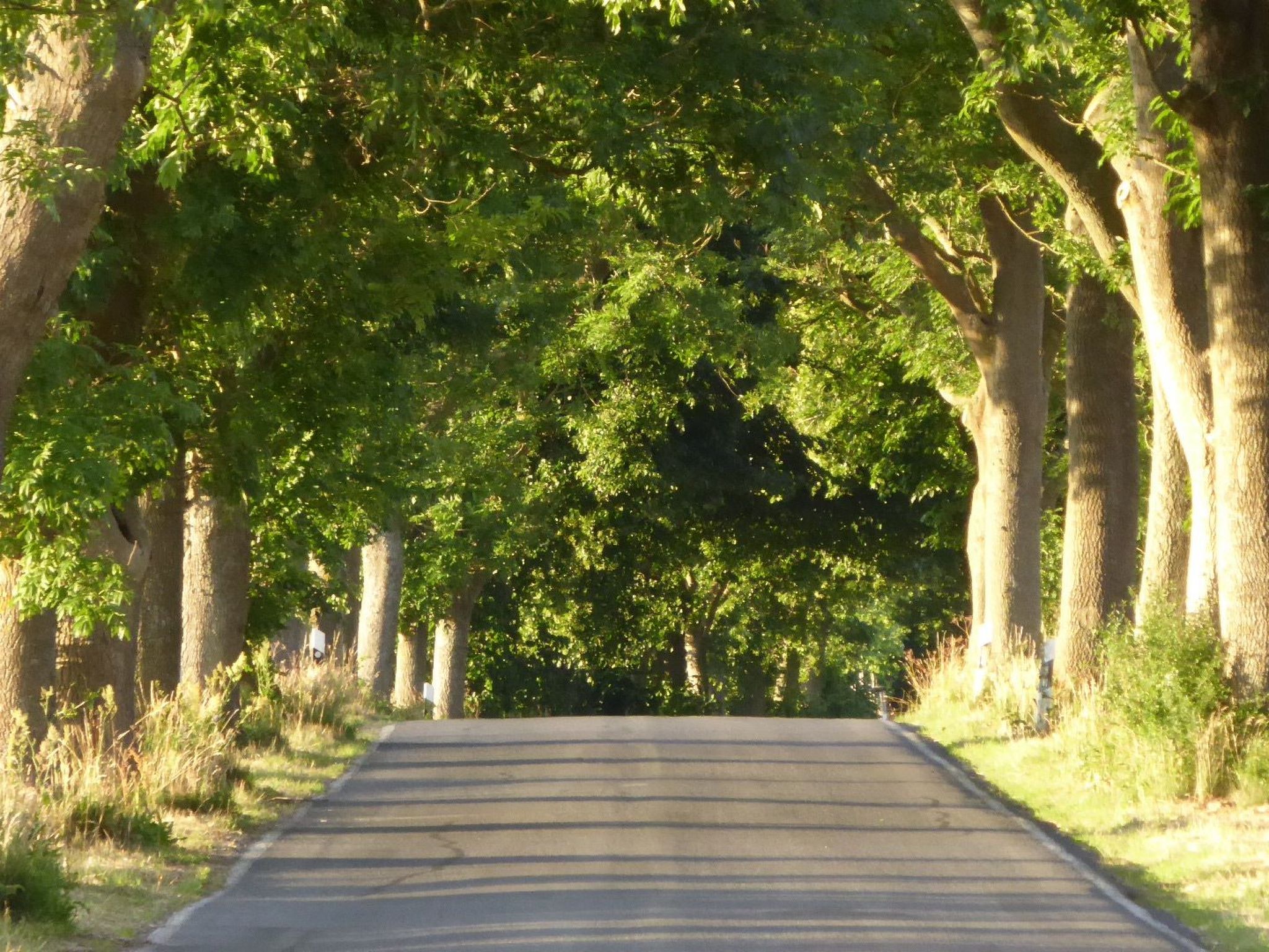 Galerie Mitte-Draußen