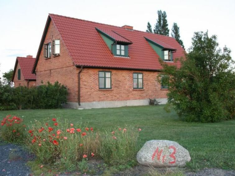 Gans In Ummanz-lüßvitz - Ummanz