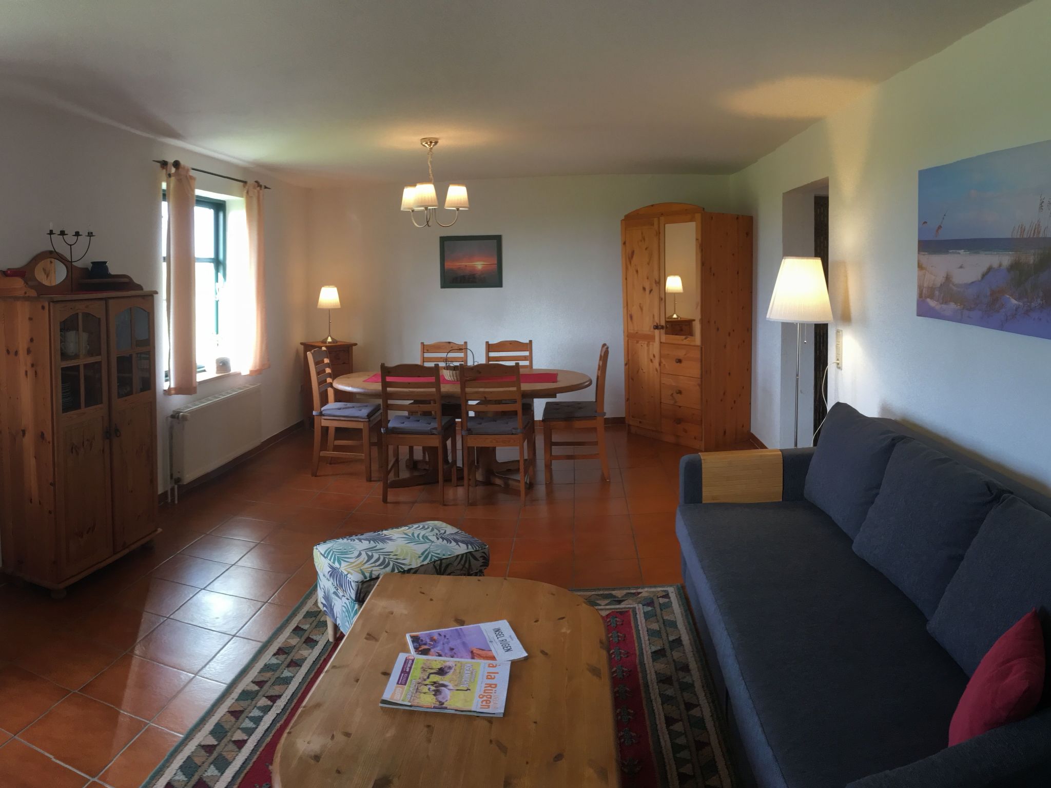 Gans in Ummanz-Lüßvitz-Binnen