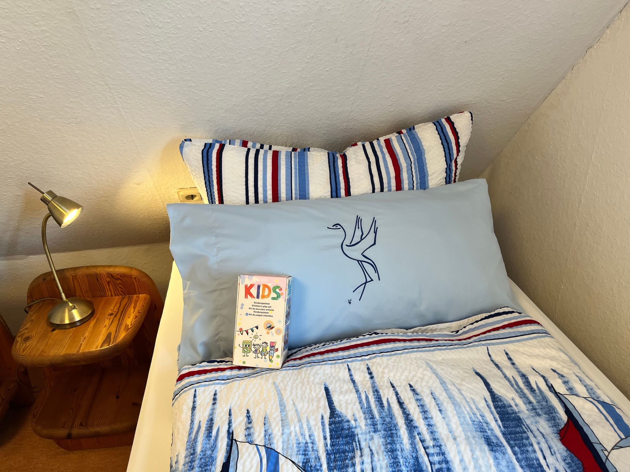 Gans in Ummanz-Lüßvitz-Binnen