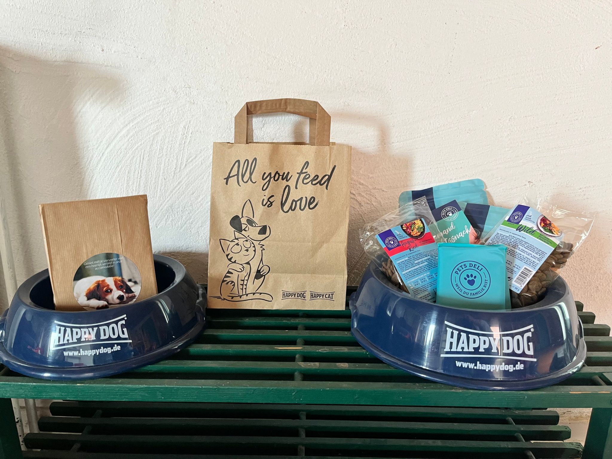 Möwe in Ummanz-Lüßvitz-Binnen