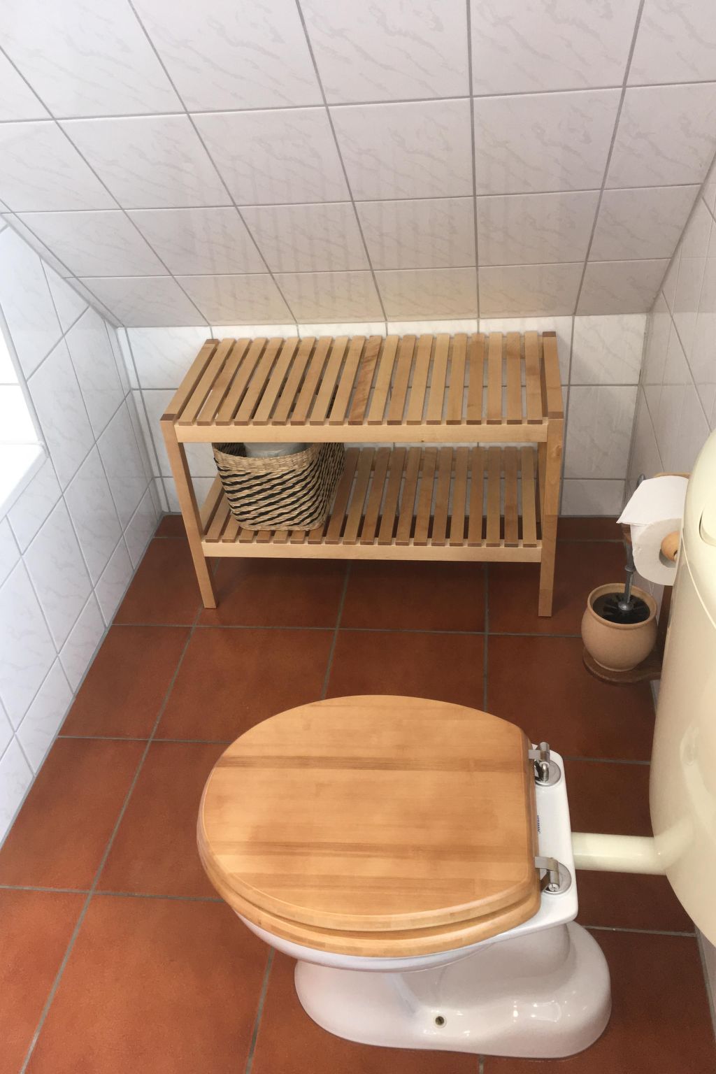 Möwe in Ummanz-Lüßvitz-Binnen